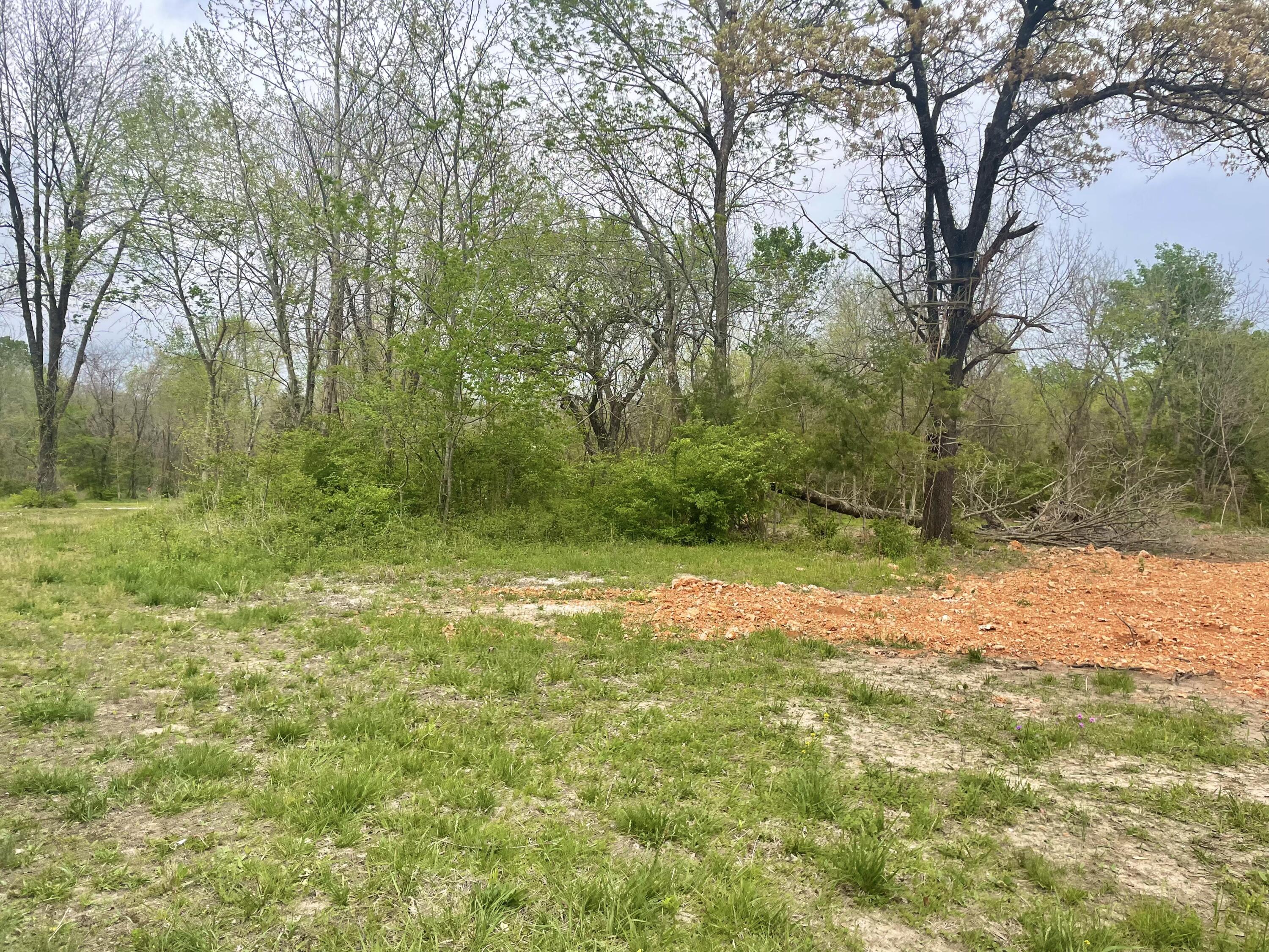 1+/- Highway D Property Photo 5