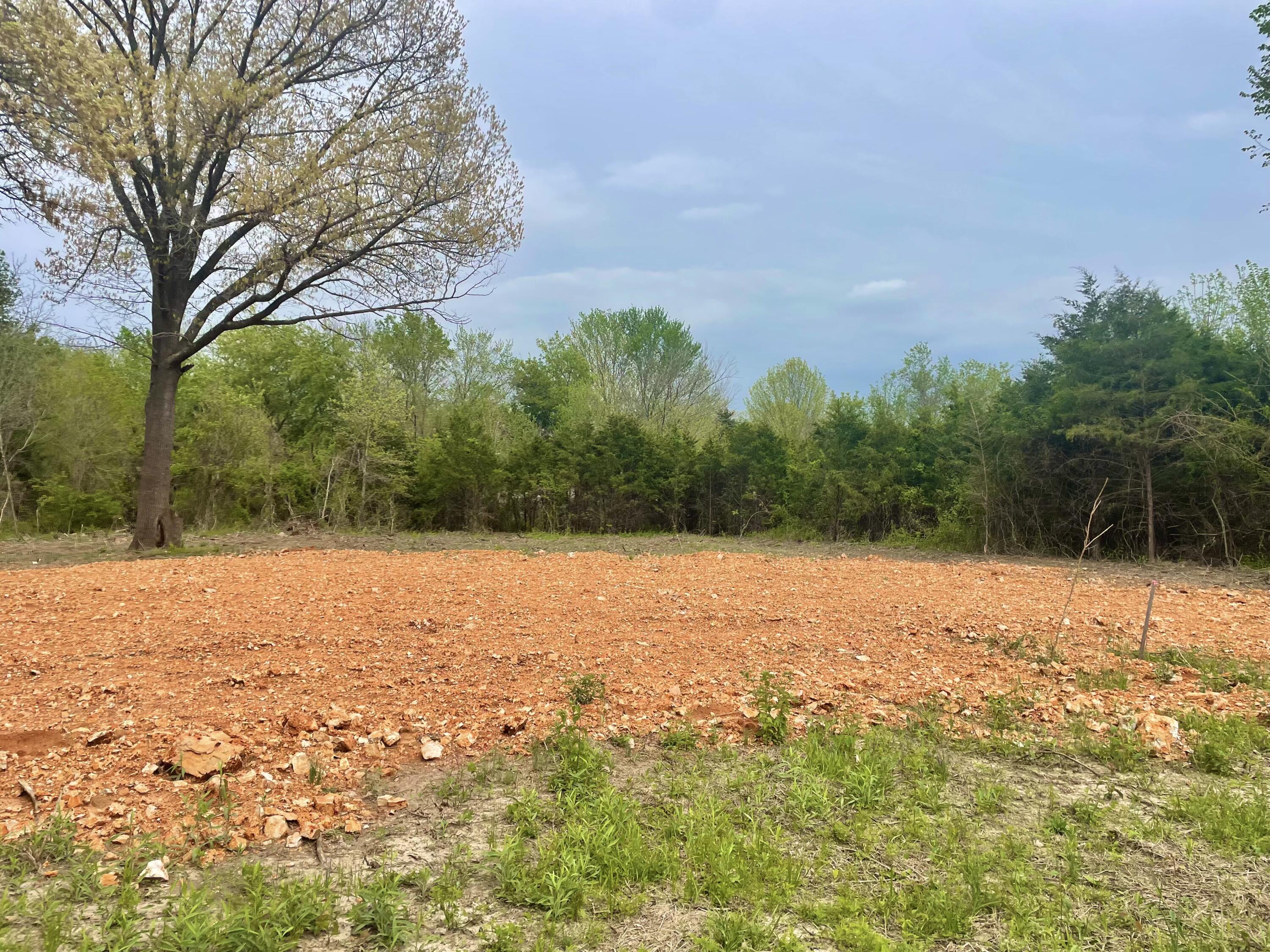 1+/- Highway D Property Photo 6