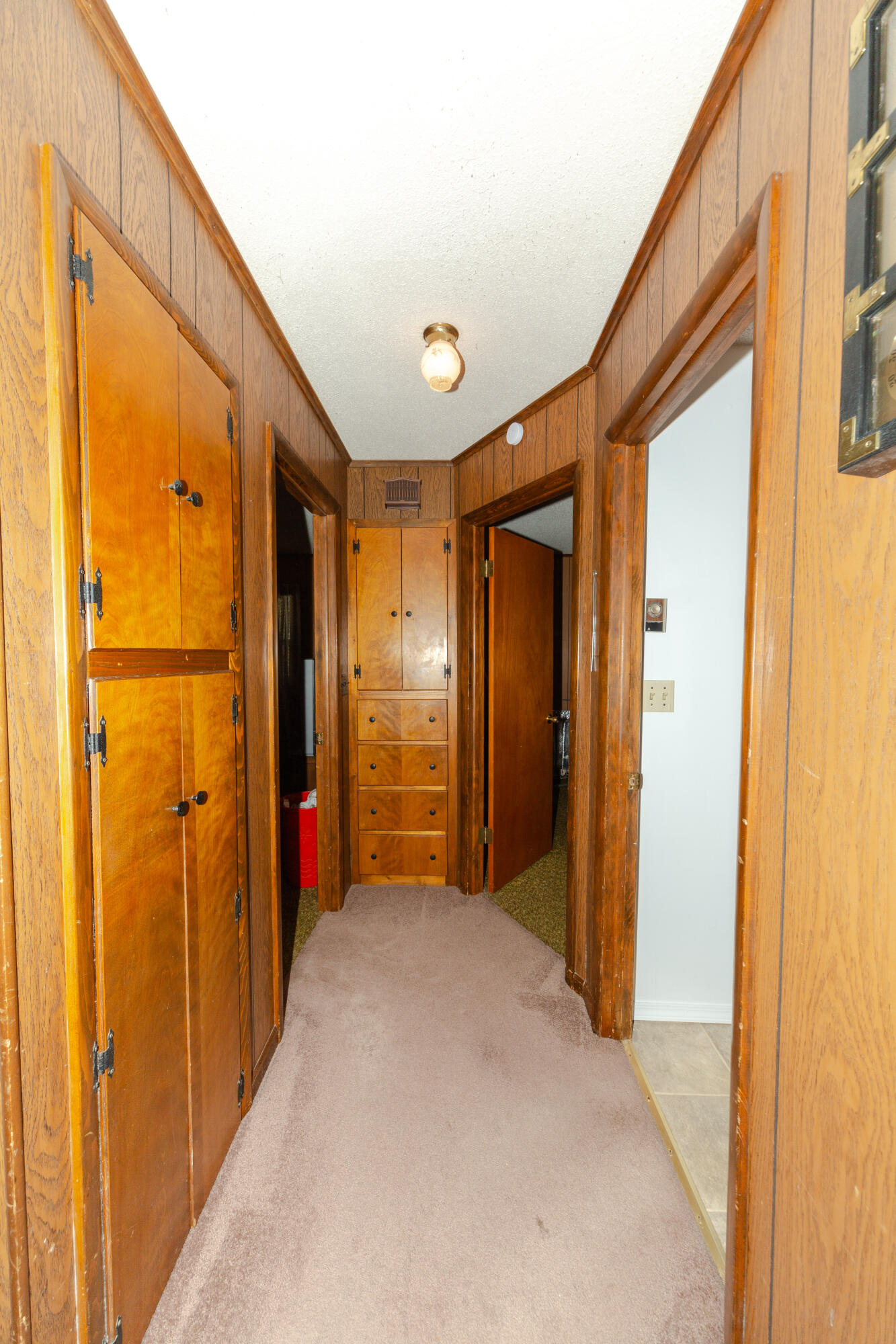103 & 105 Martin Street Property Photo 37