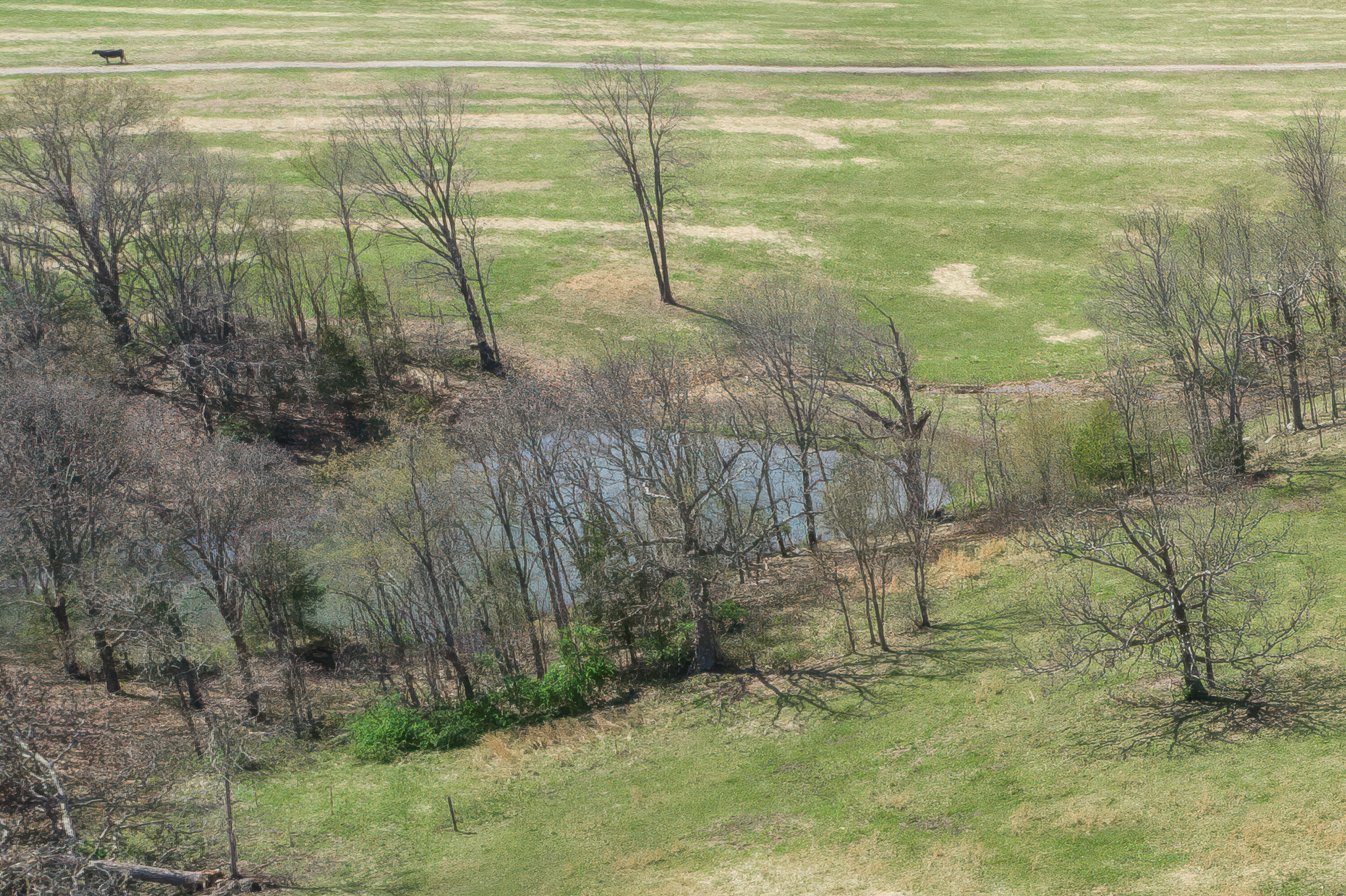 000 Highway Ff Property Photo 15