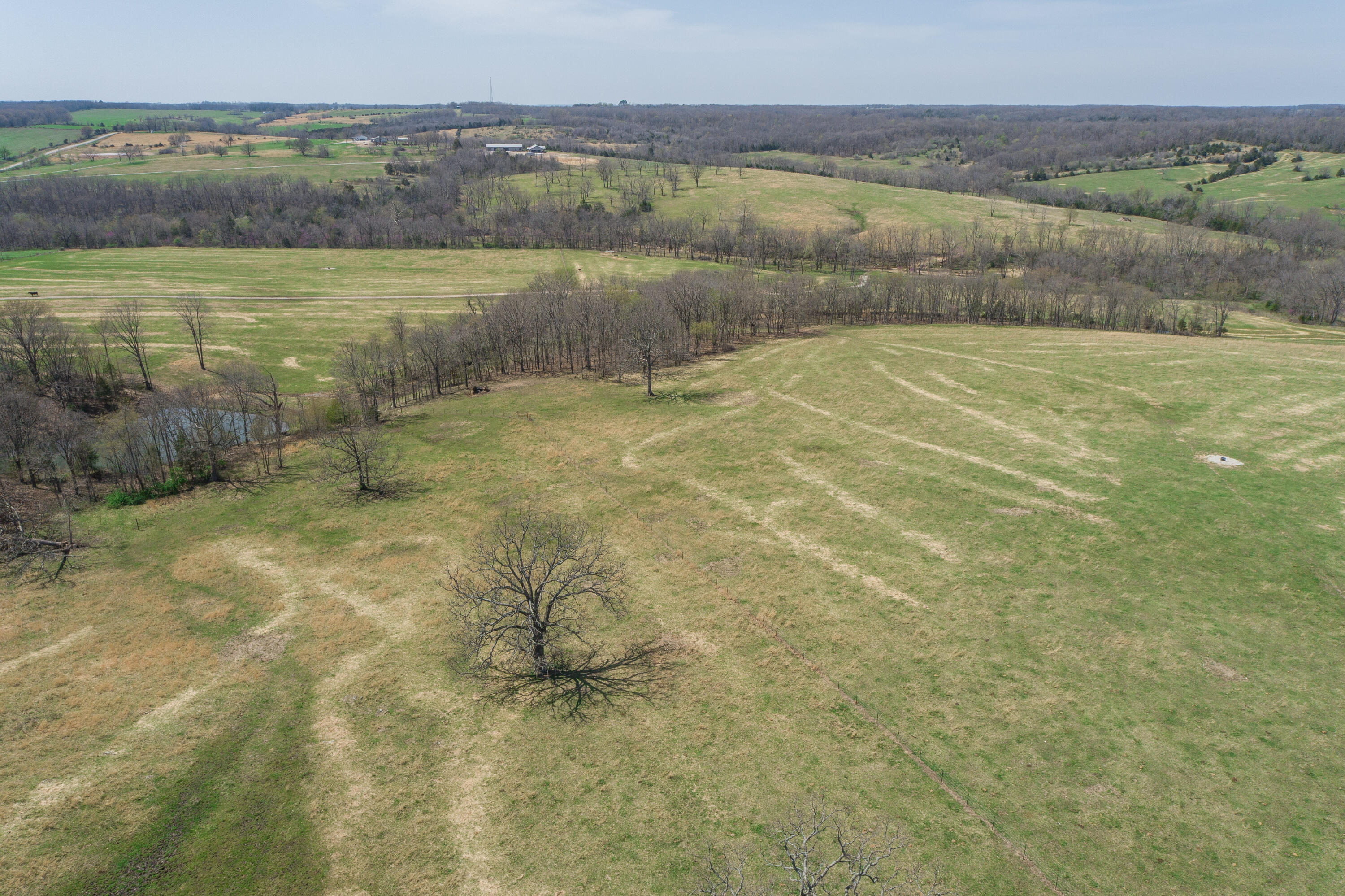 000 Highway Ff Property Photo 16