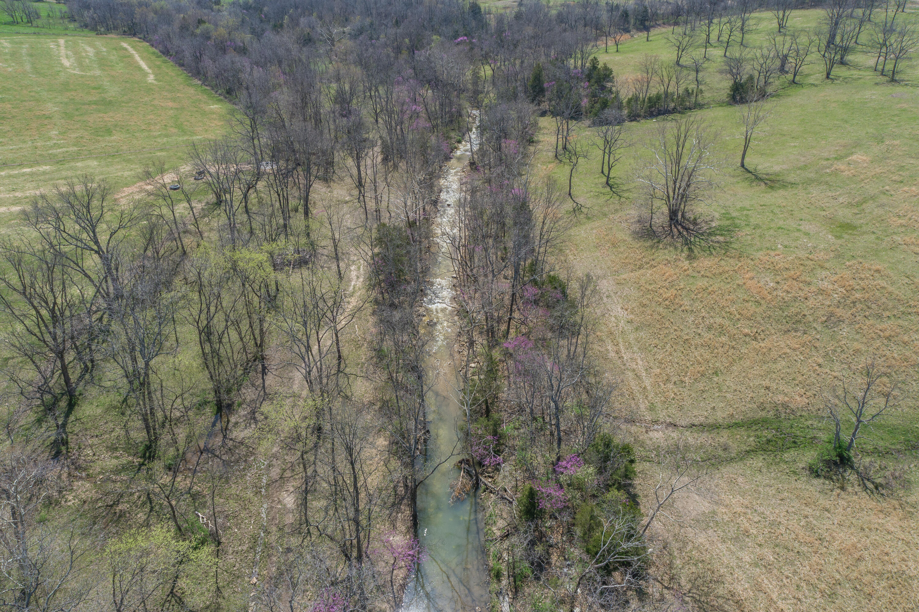 000 Highway Ff Property Photo 20