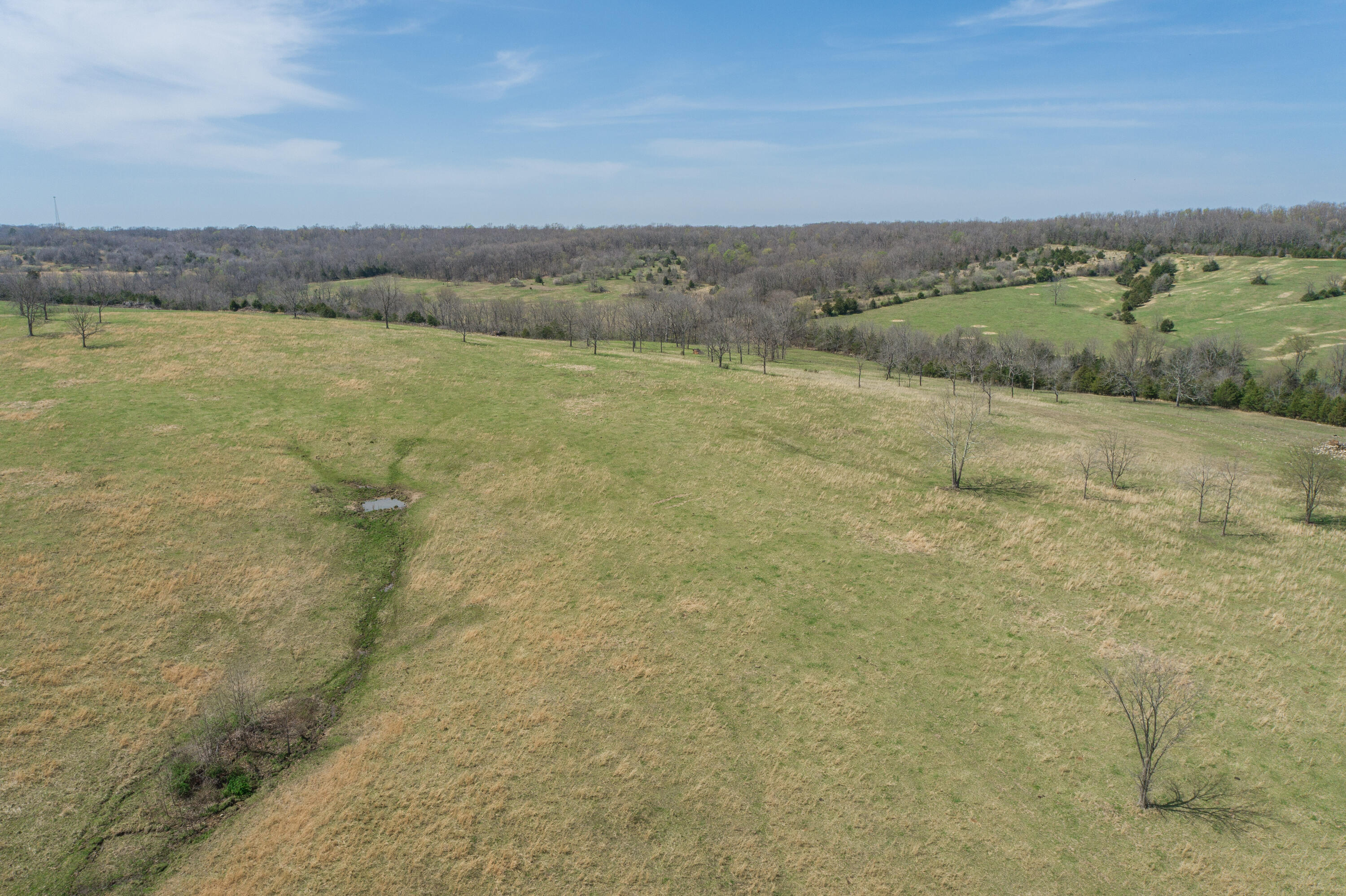 000 Highway Ff Property Photo 21
