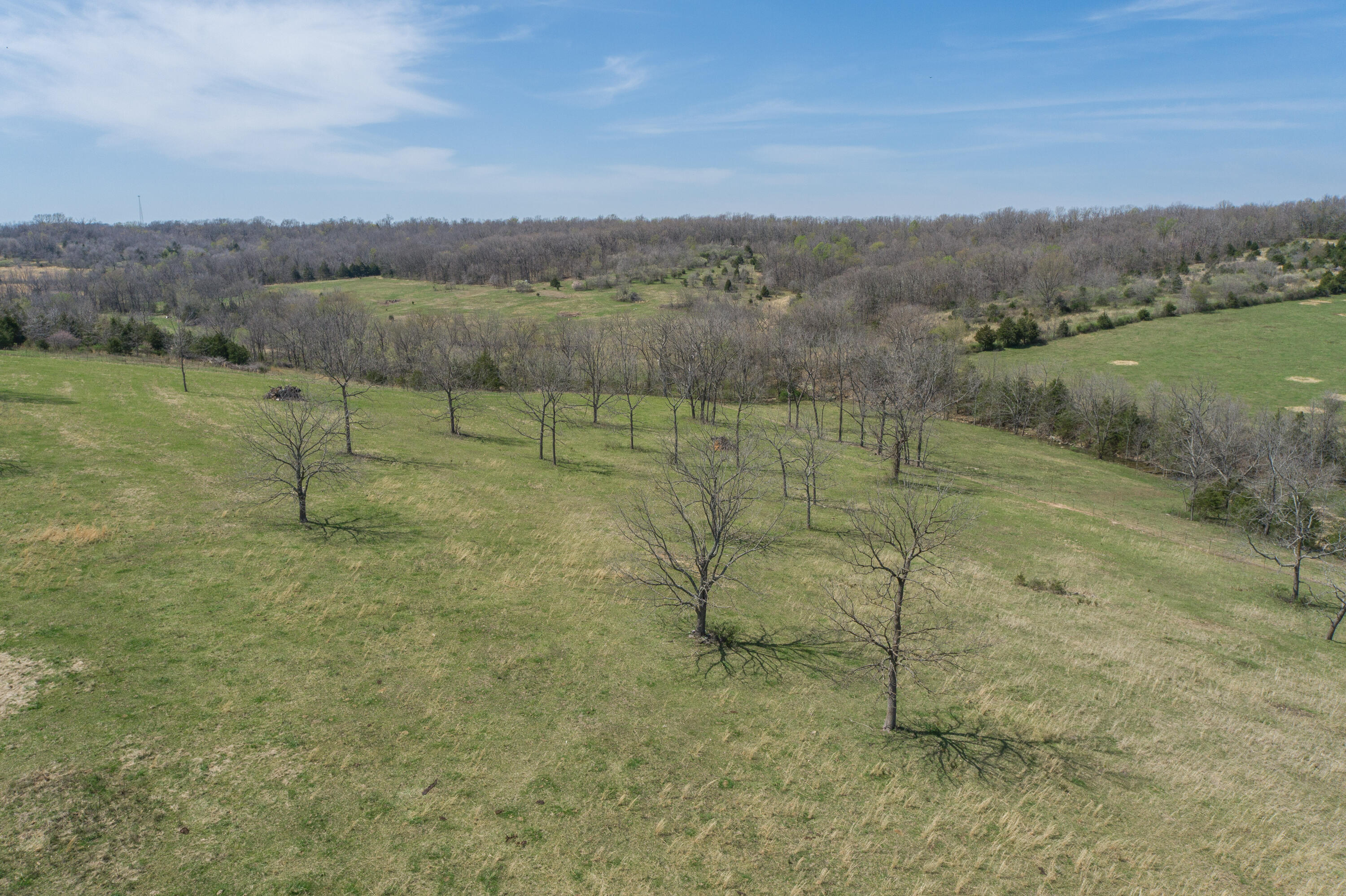 000 Highway Ff Property Photo 22