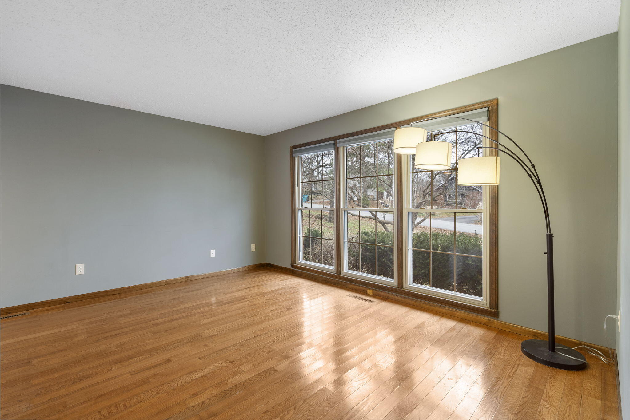 2217 East Cardinal Street Property Photo 3