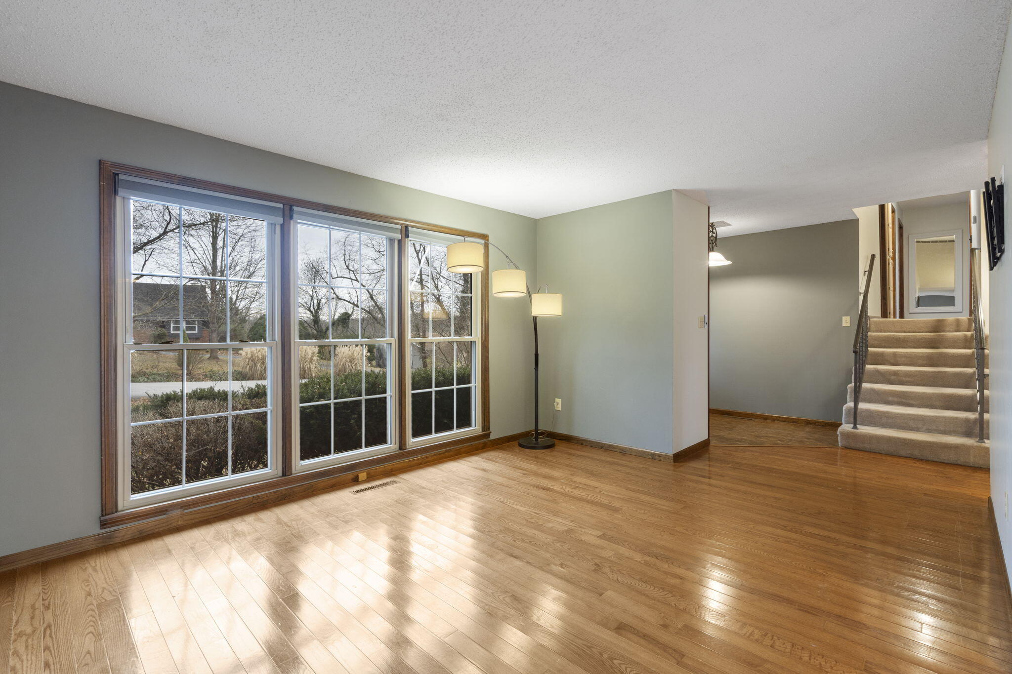 2217 East Cardinal Street Property Photo 4