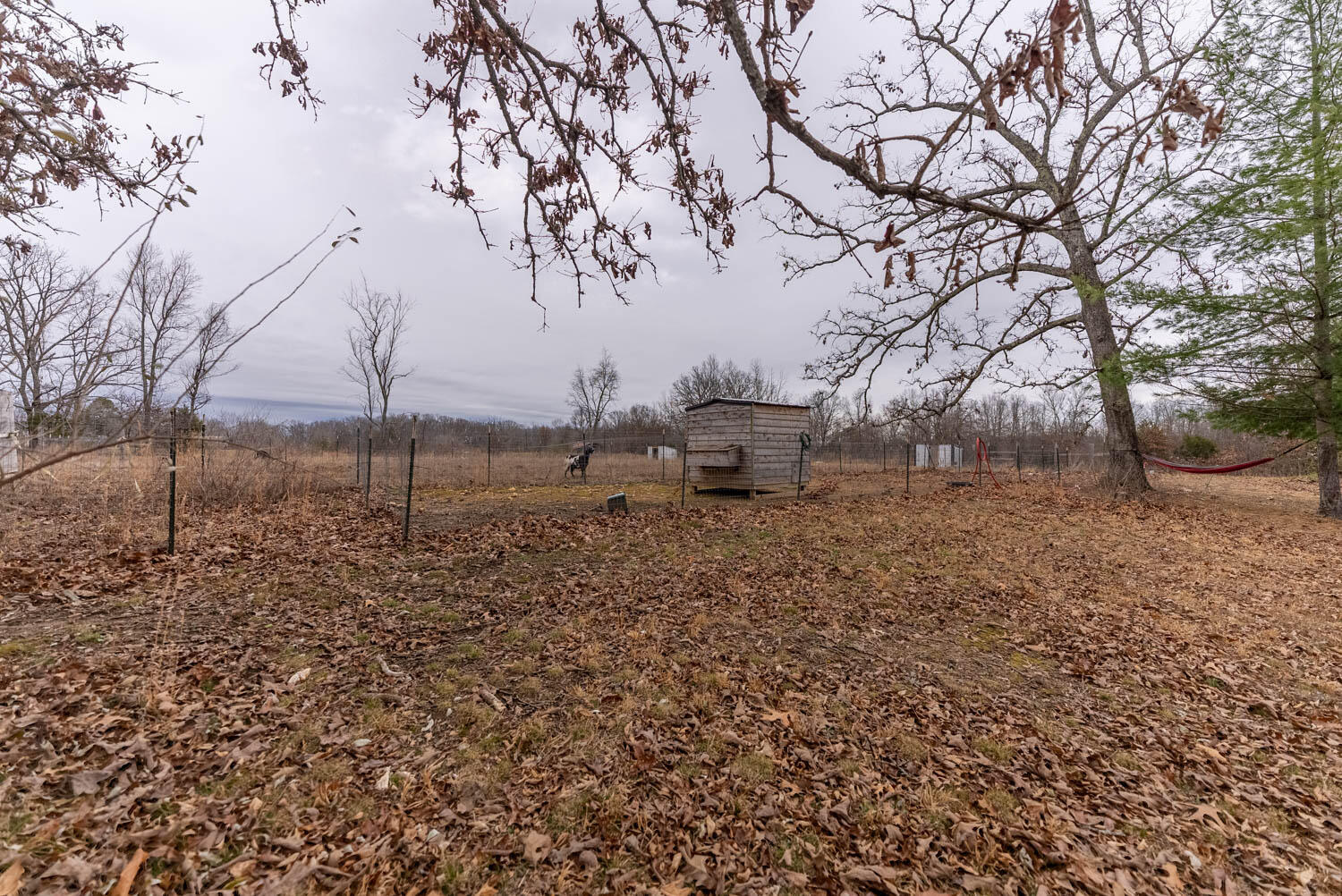 18124 Mo 19 Property Photo 8
