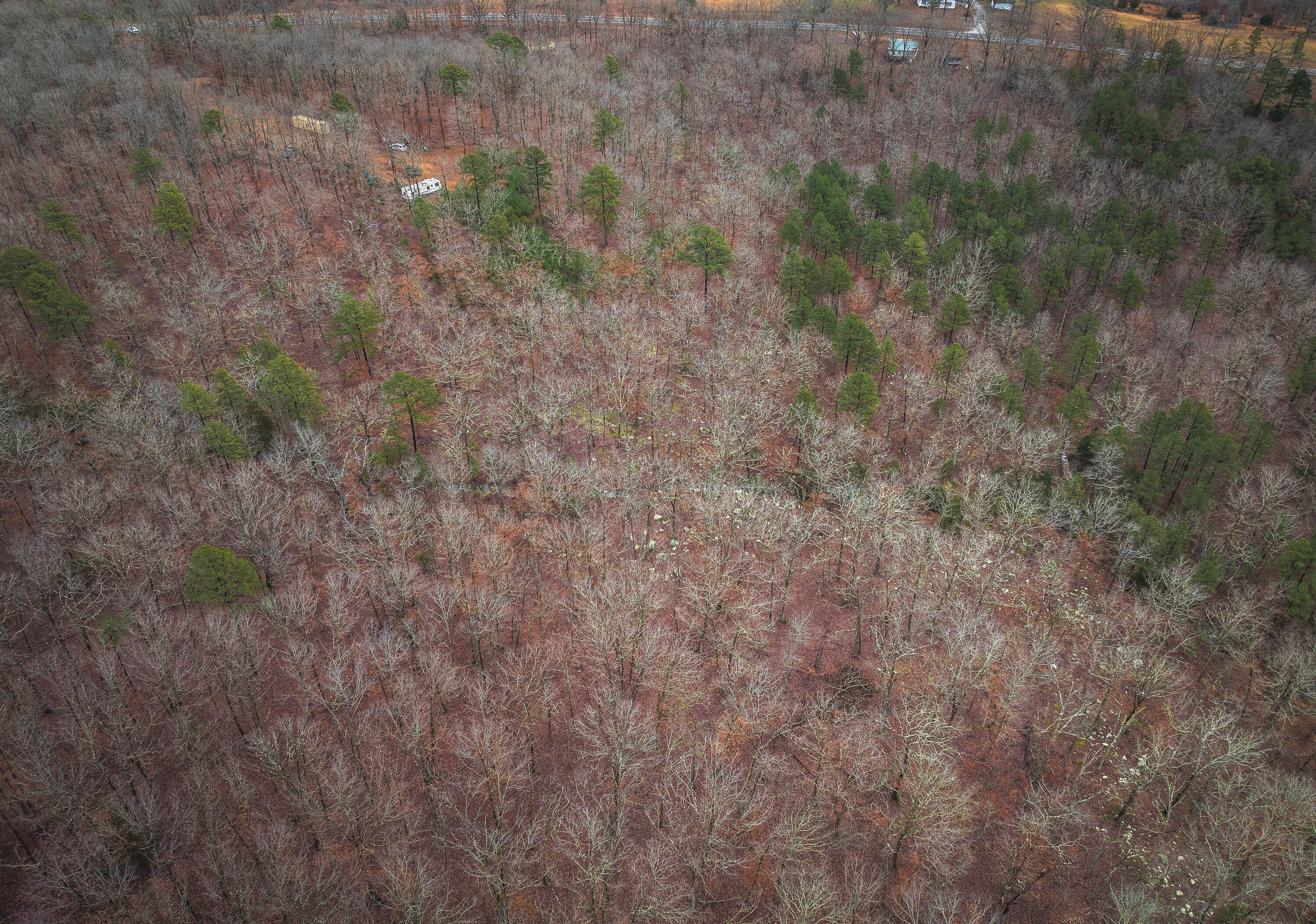 2937 Highway 119 Property Photo