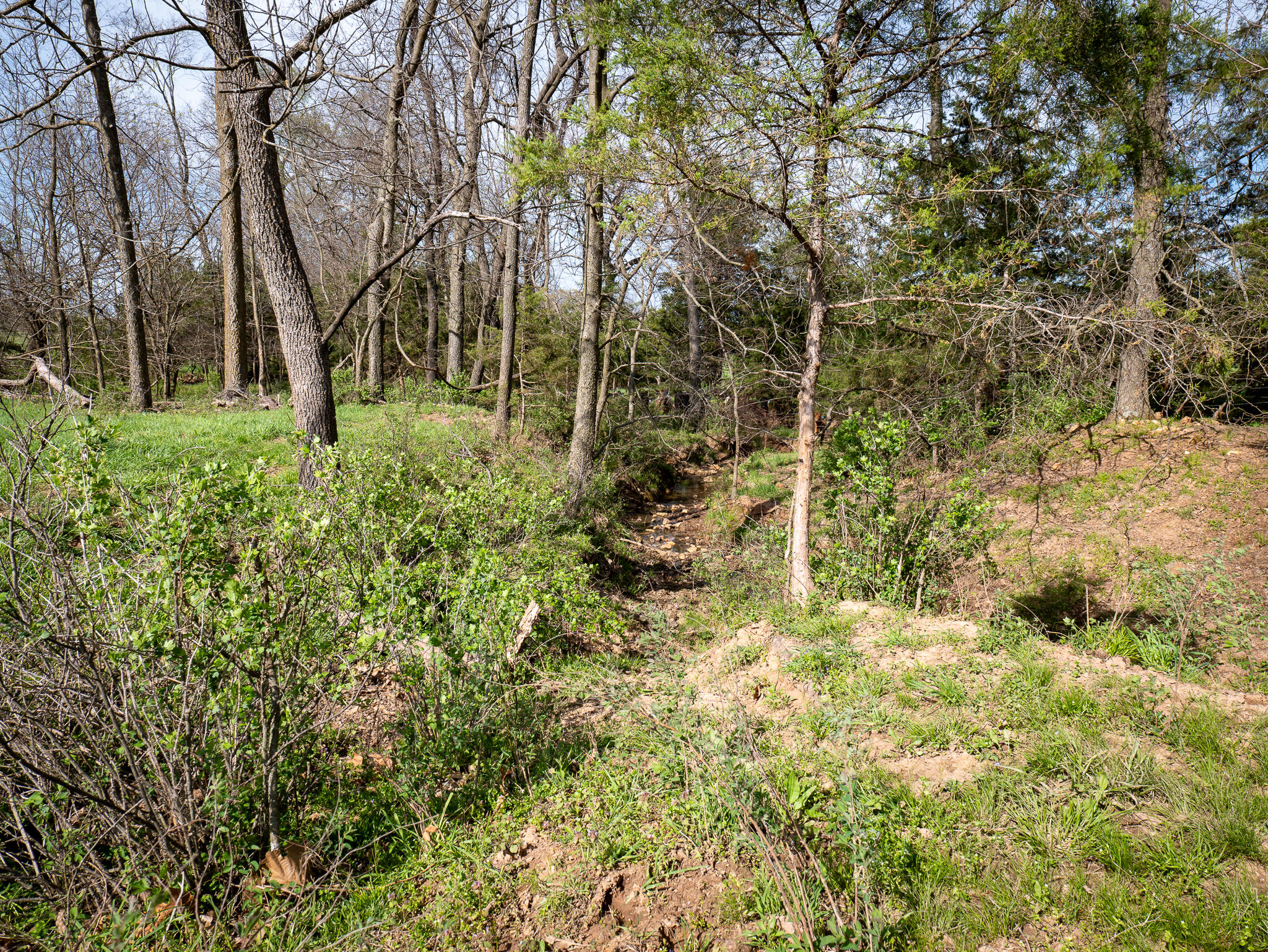 006 County Rd 14 Property Photo 11