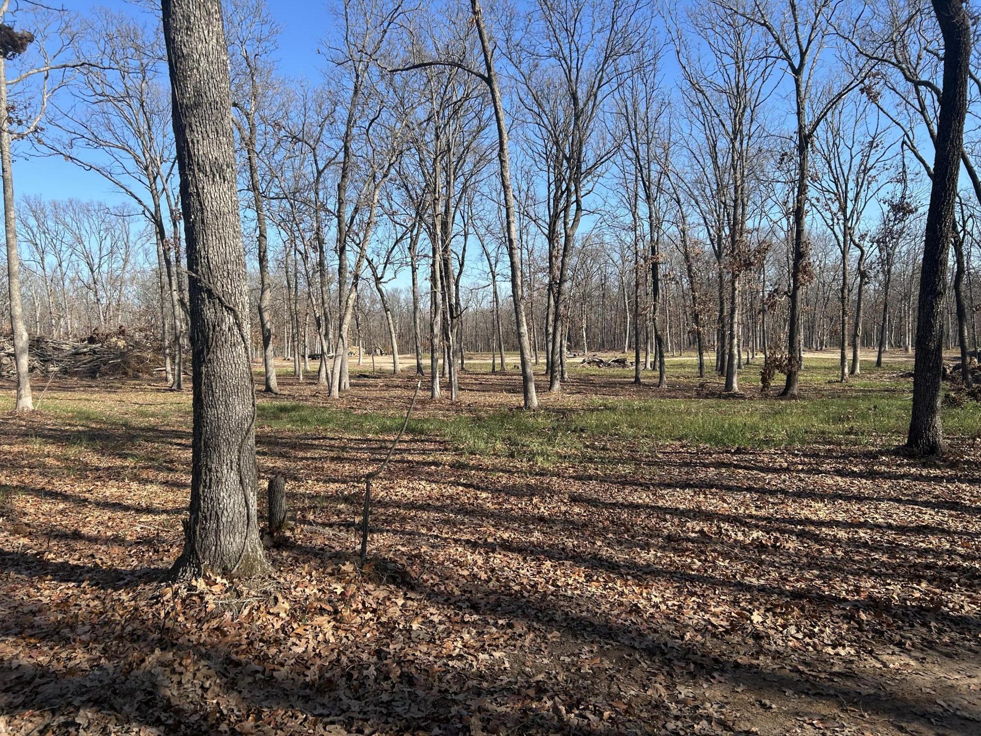 000 North Missouri State Highway 215 Property Photo 4