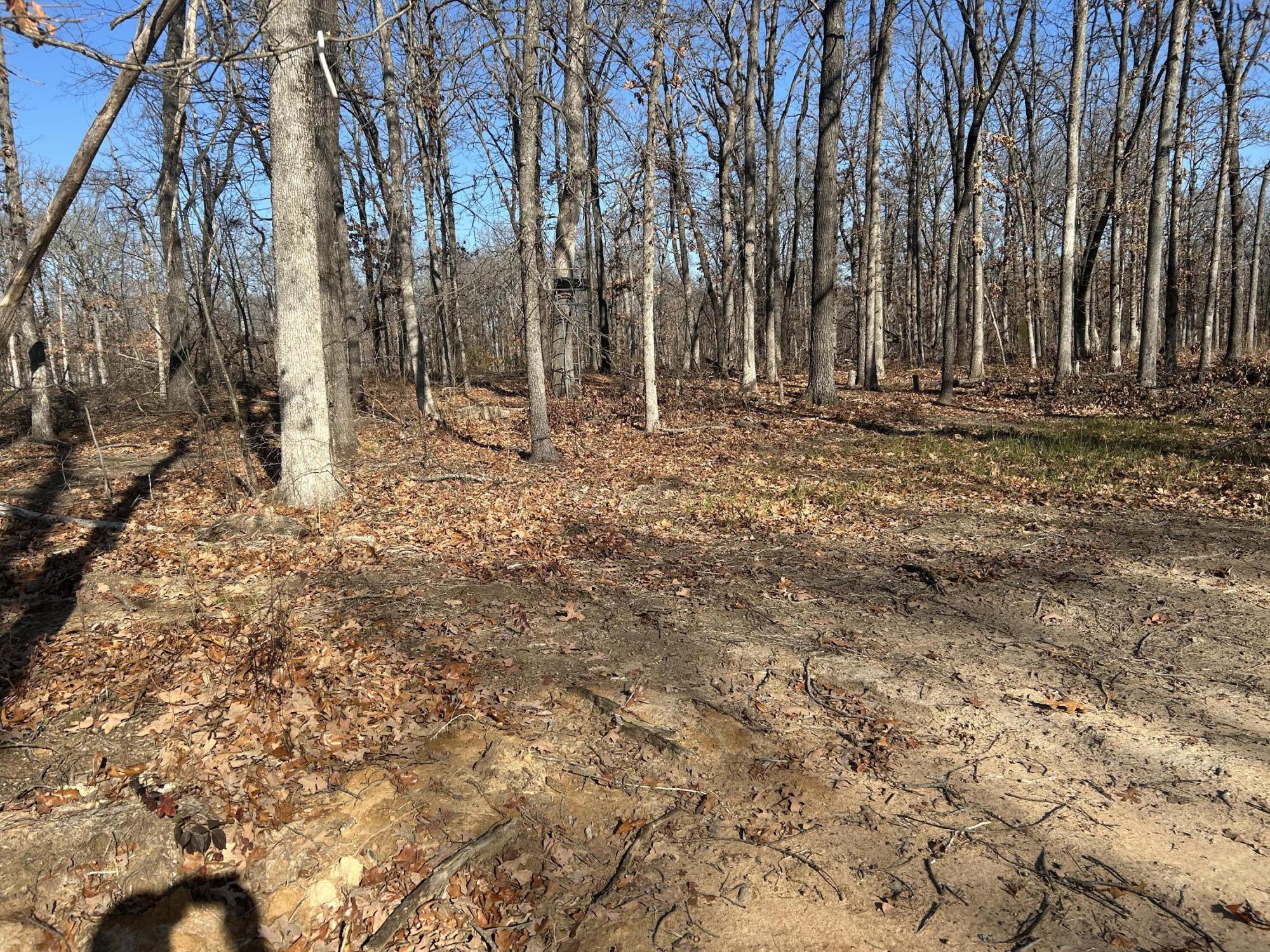 000 North Missouri State Highway 215 Property Photo 7