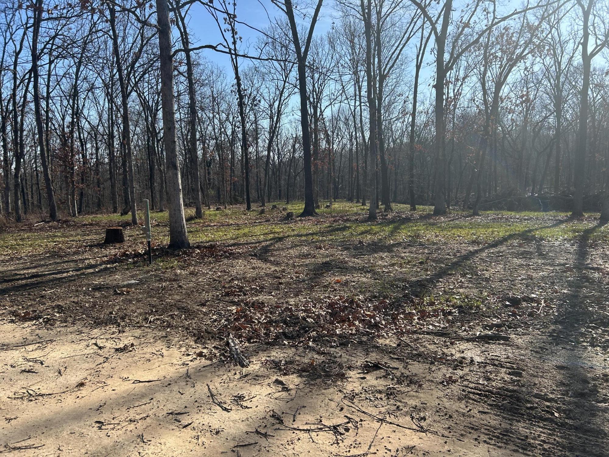 000 North Missouri State Highway 215 Property Photo 8