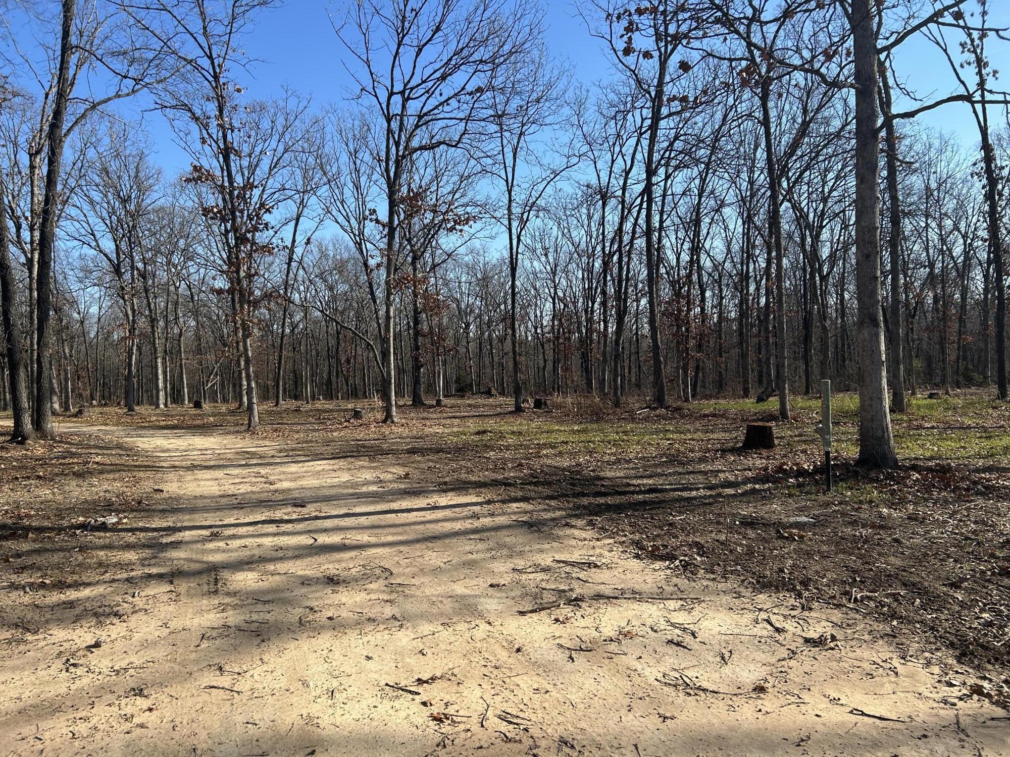 000 North Missouri State Highway 215 Property Photo 9
