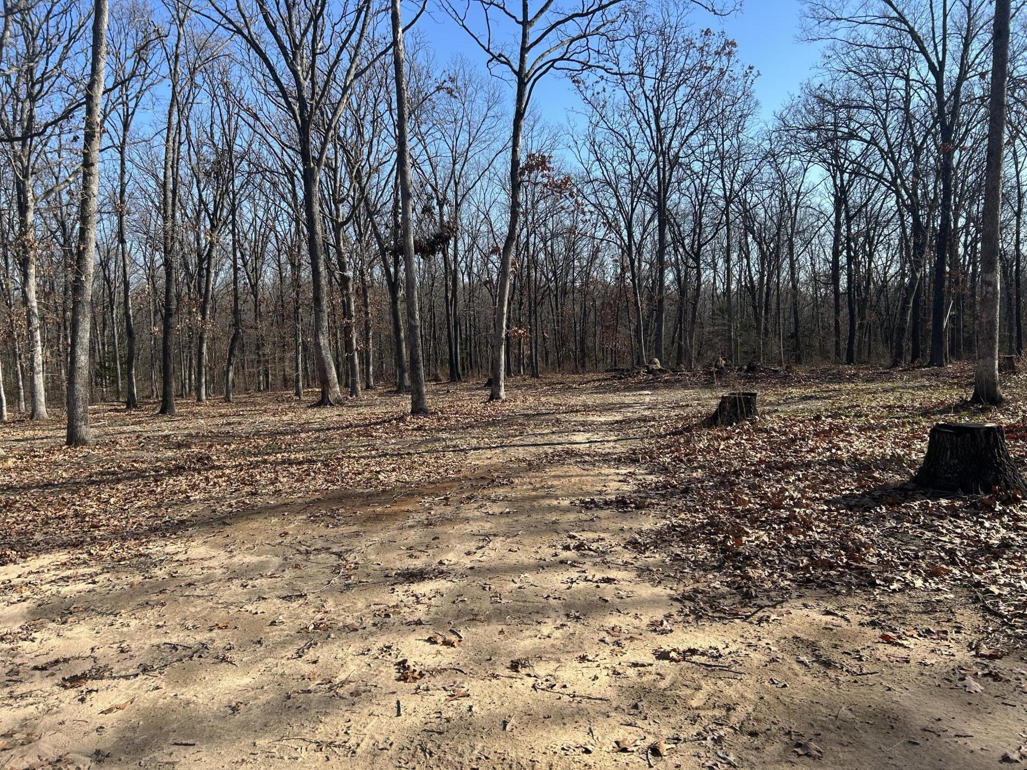 000 North Missouri State Highway 215 Property Photo 10
