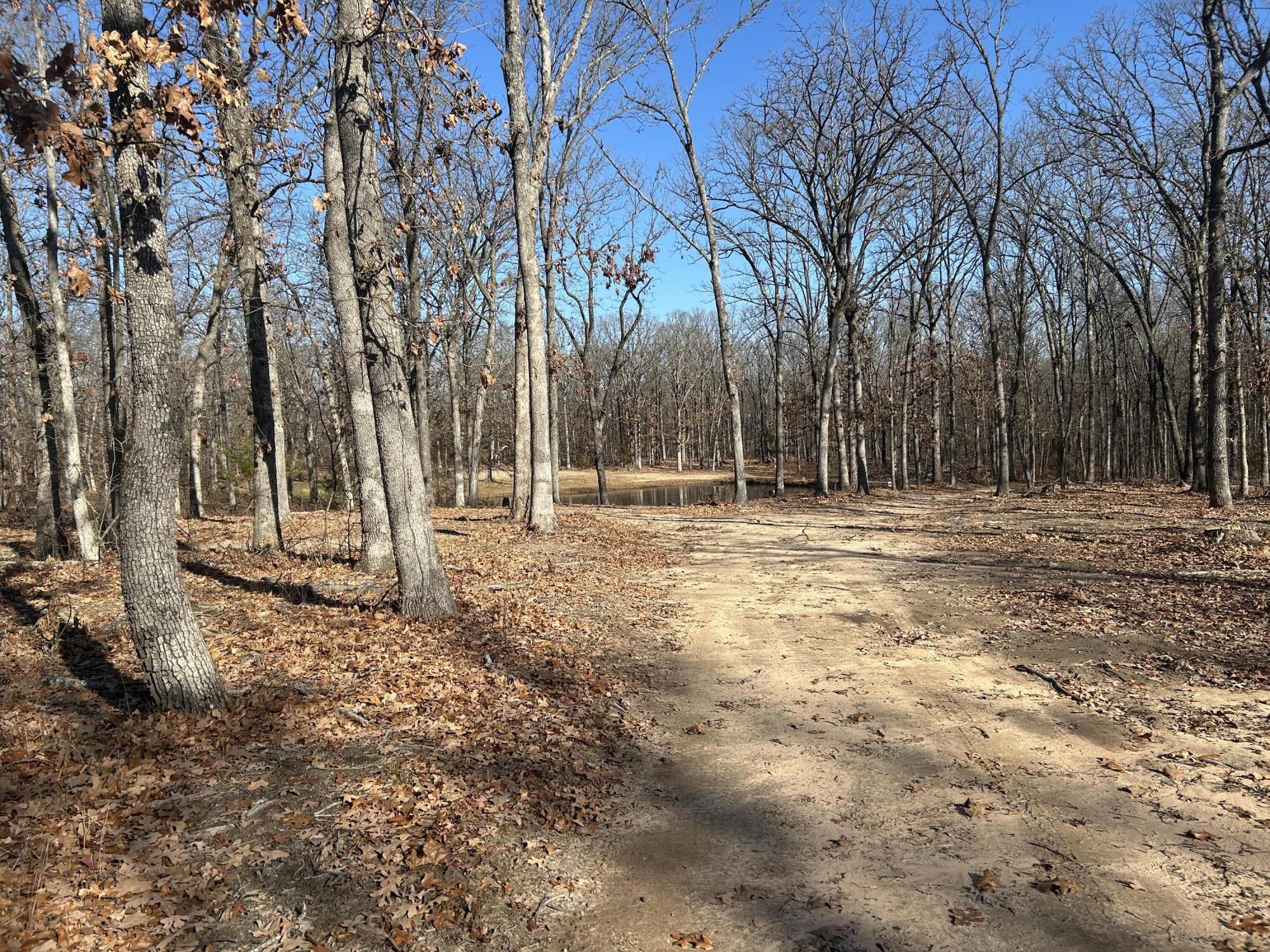000 North Missouri State Highway 215 Property Photo 11