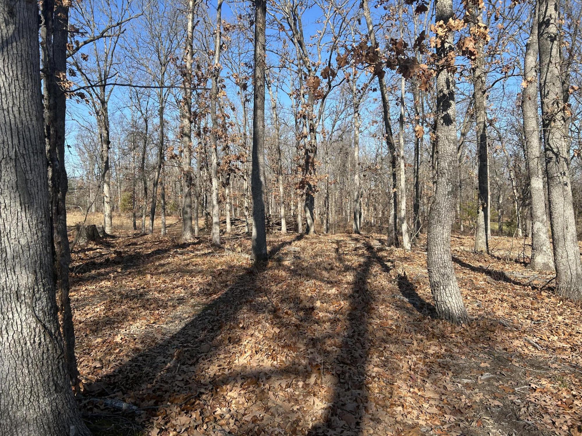 000 North Missouri State Highway 215 Property Photo 12