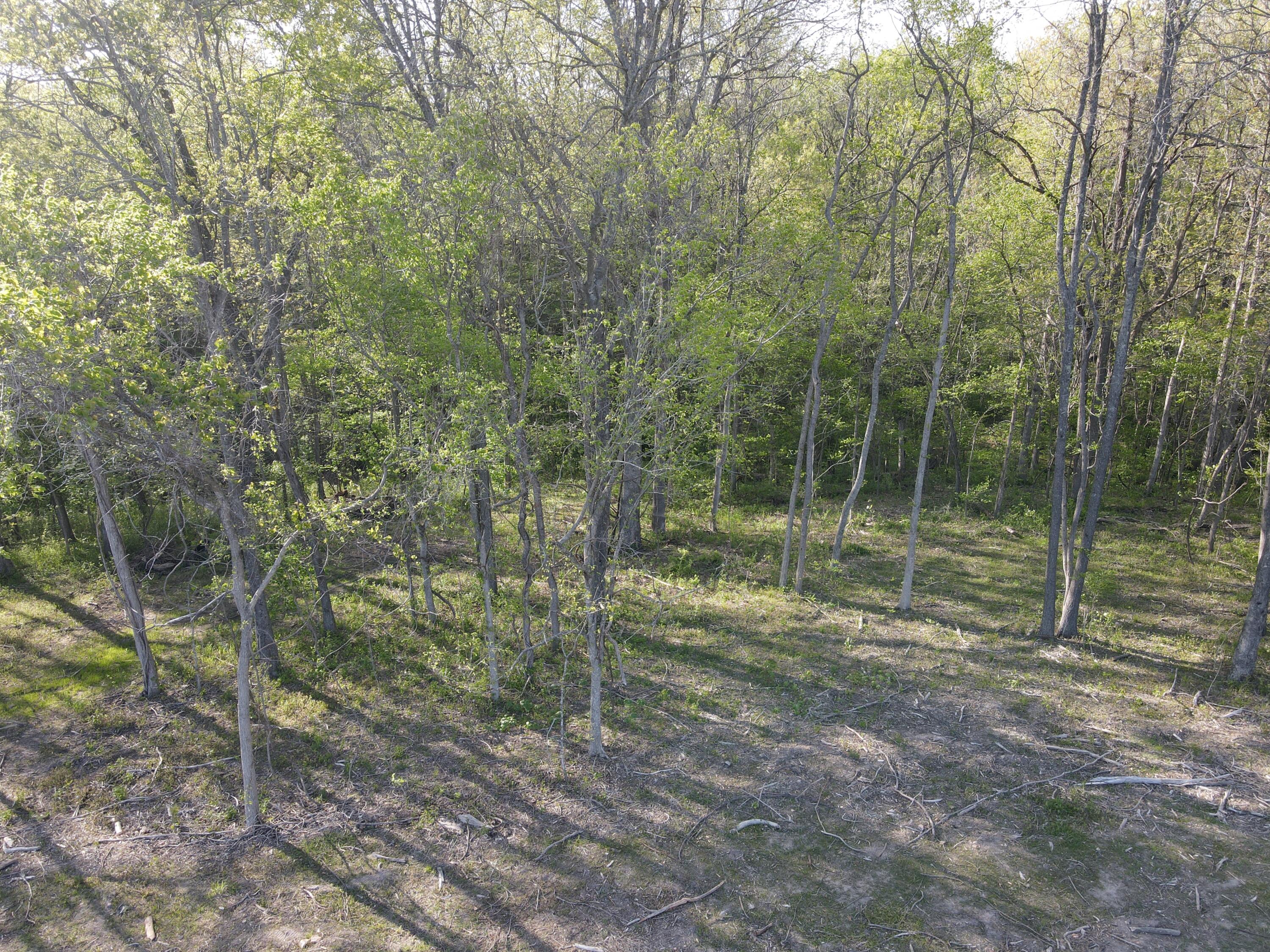 000 Estate Drive Property Photo 4