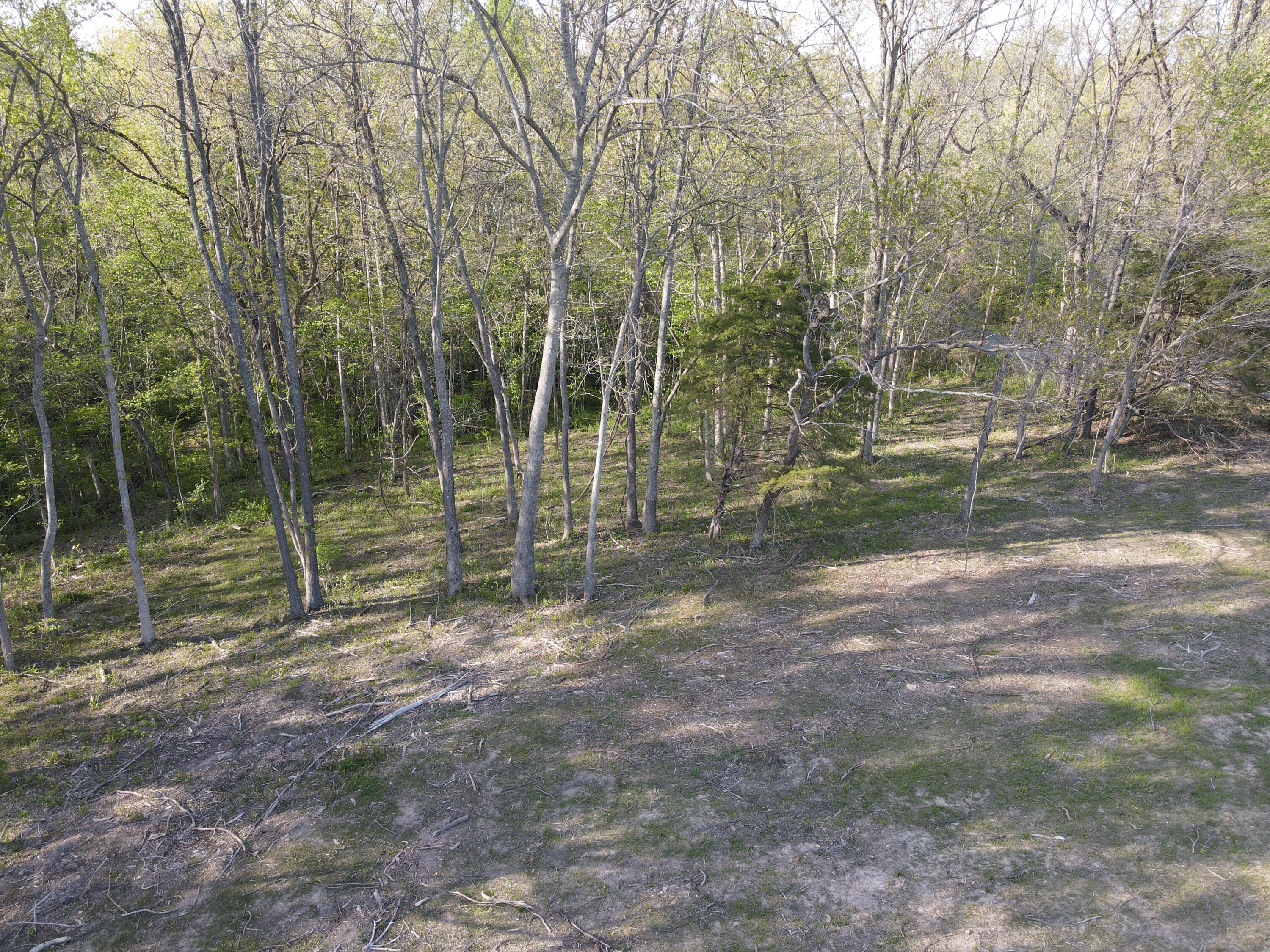 000 Estate Drive Property Photo 6