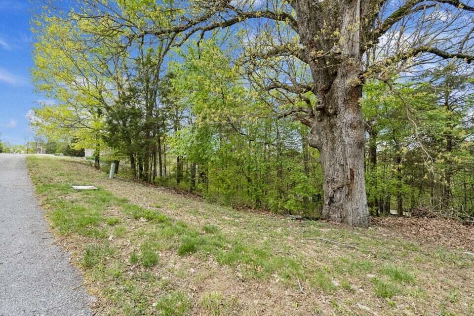 Lot 87 South Shining Mountain Drive Property Photo 3