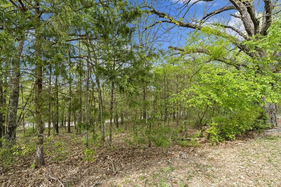 Lot 87 South Shining Mountain Drive Property Photo 4