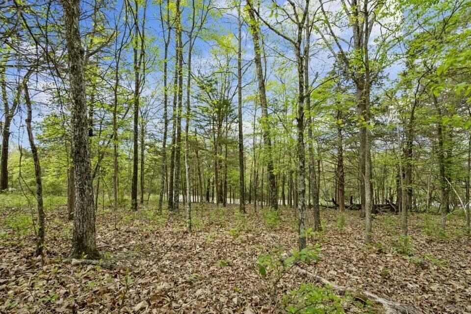 Lot 87 South Shining Mountain Drive Property Photo 5