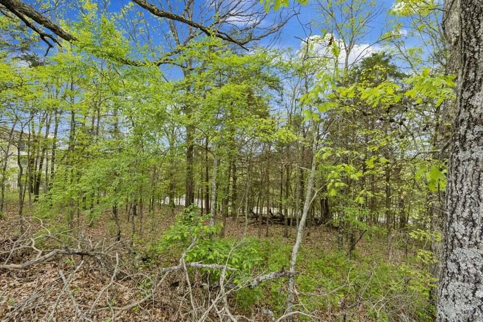 Lot 87 South Shining Mountain Drive Property Photo 6
