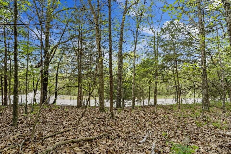 Lot 87 South Shining Mountain Drive Property Photo 7