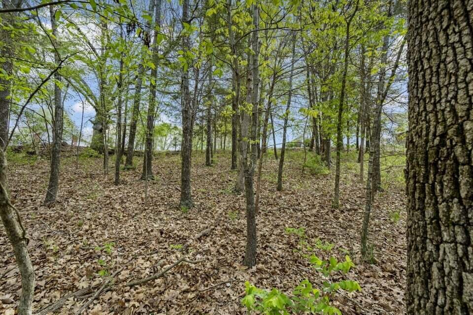 Lot 87 South Shining Mountain Drive Property Photo 8