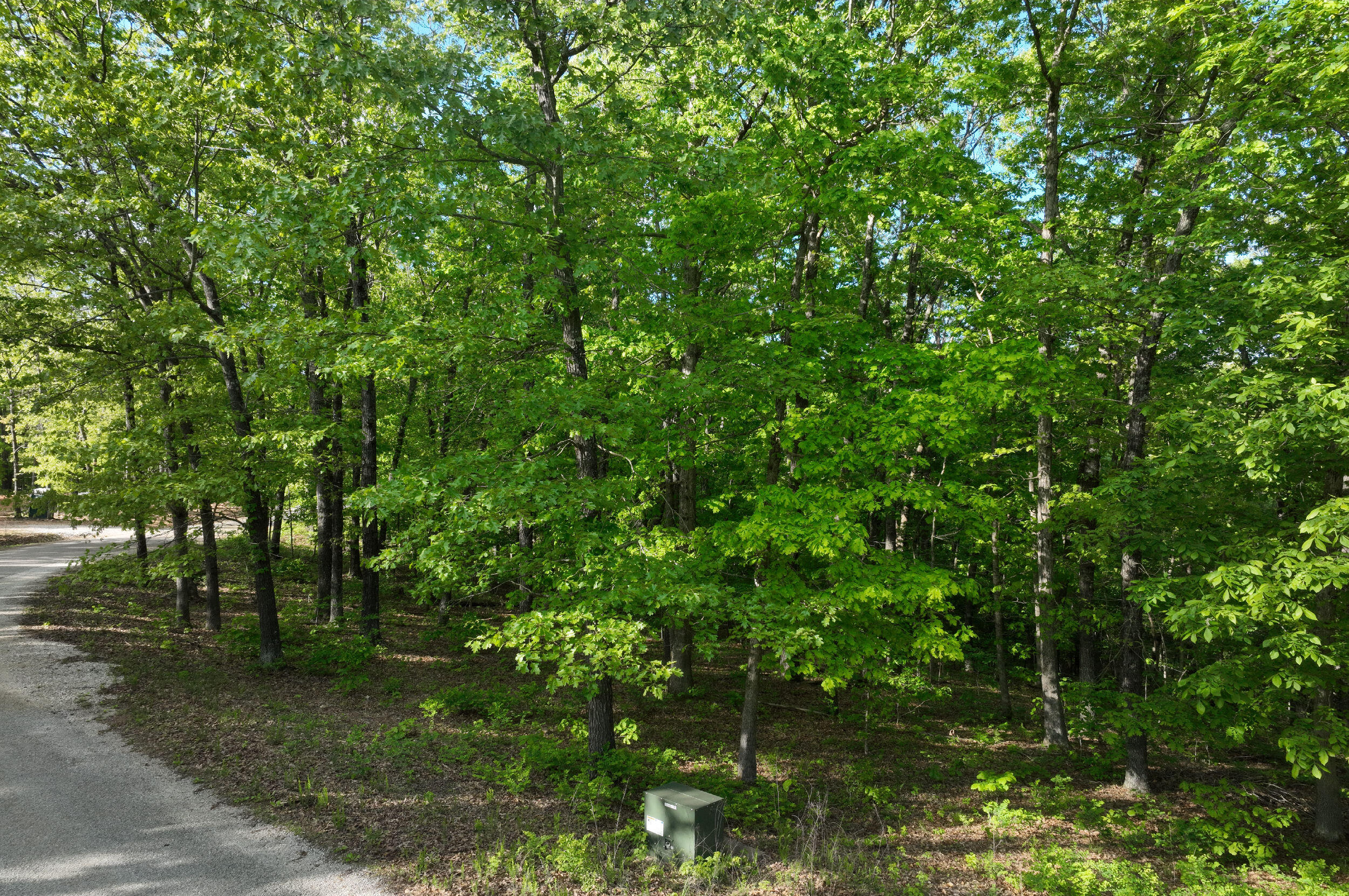 Lot 8 Buckskin Ridge Property Photo