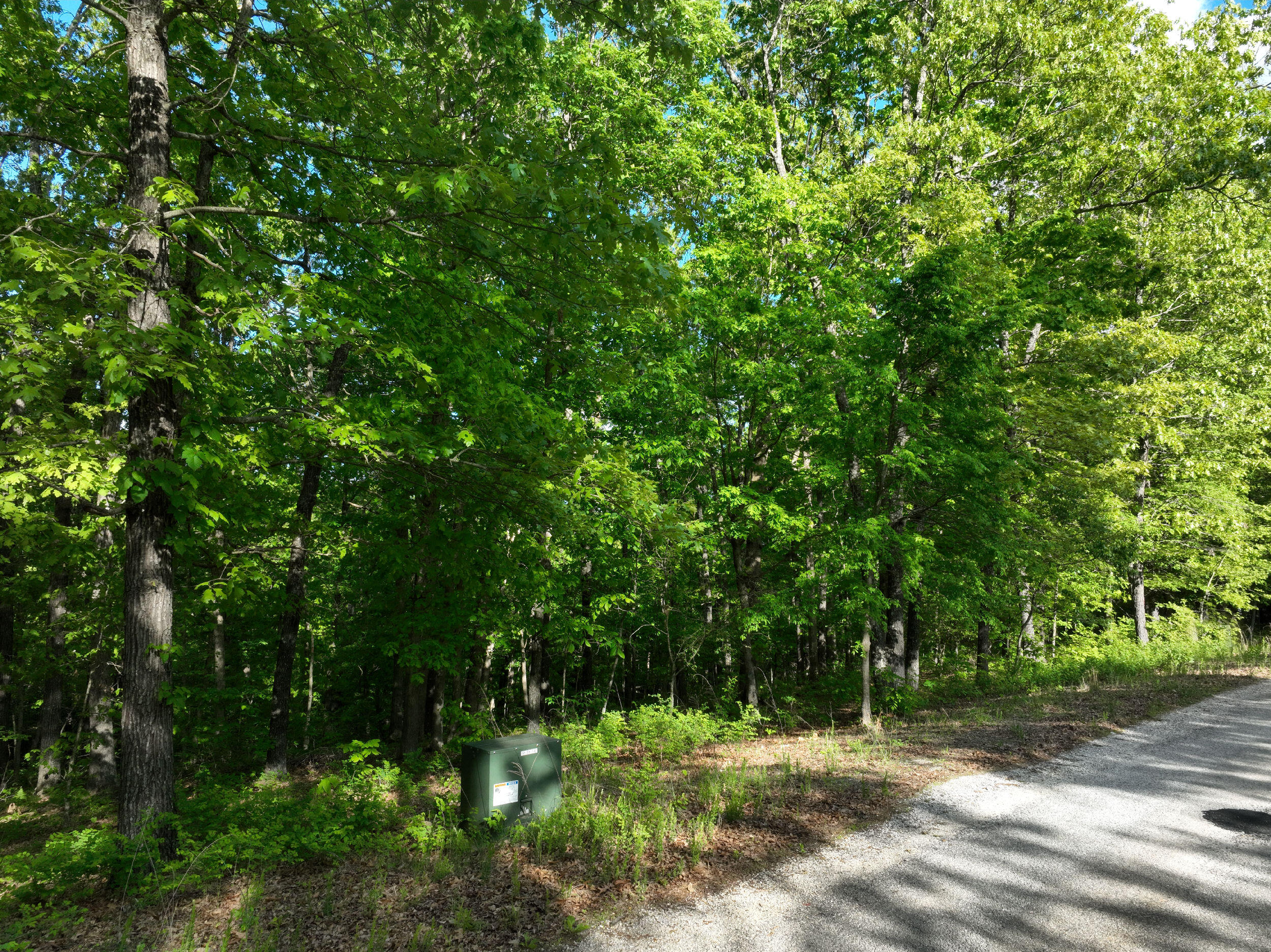 Lot 8 Buckskin Ridge Property Photo 7