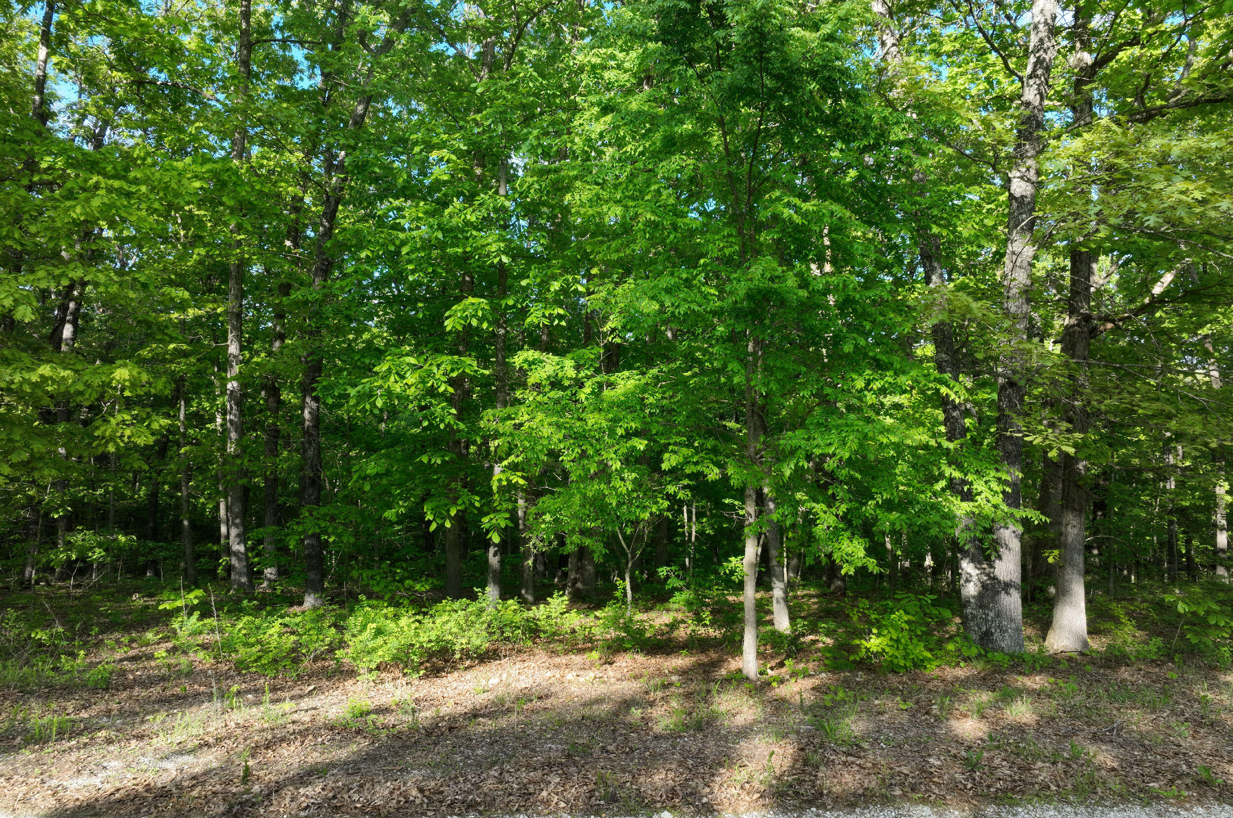 Lot 8 Buckskin Ridge Property Photo 9