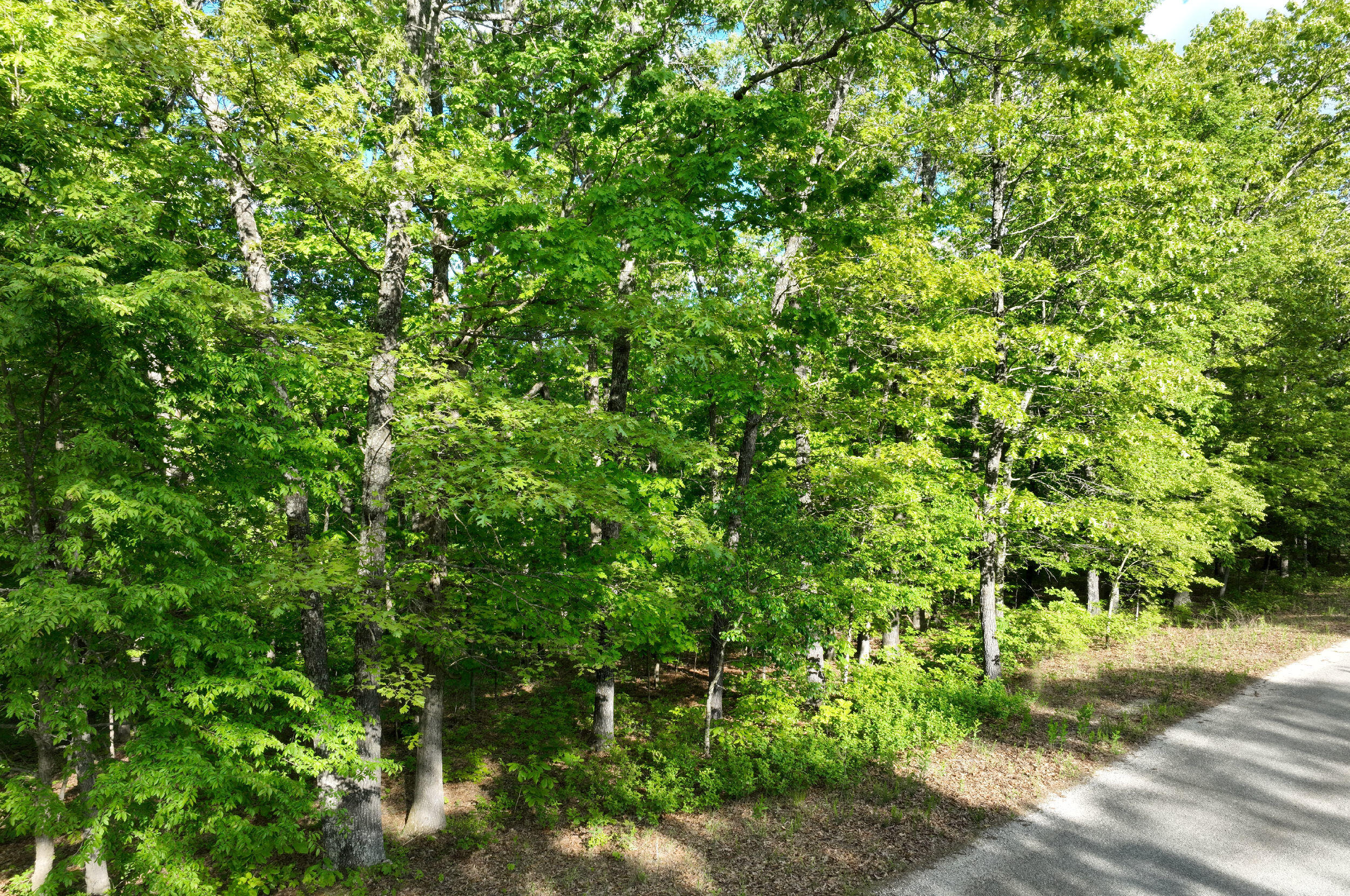 Lot 8 Buckskin Ridge Property Photo 11