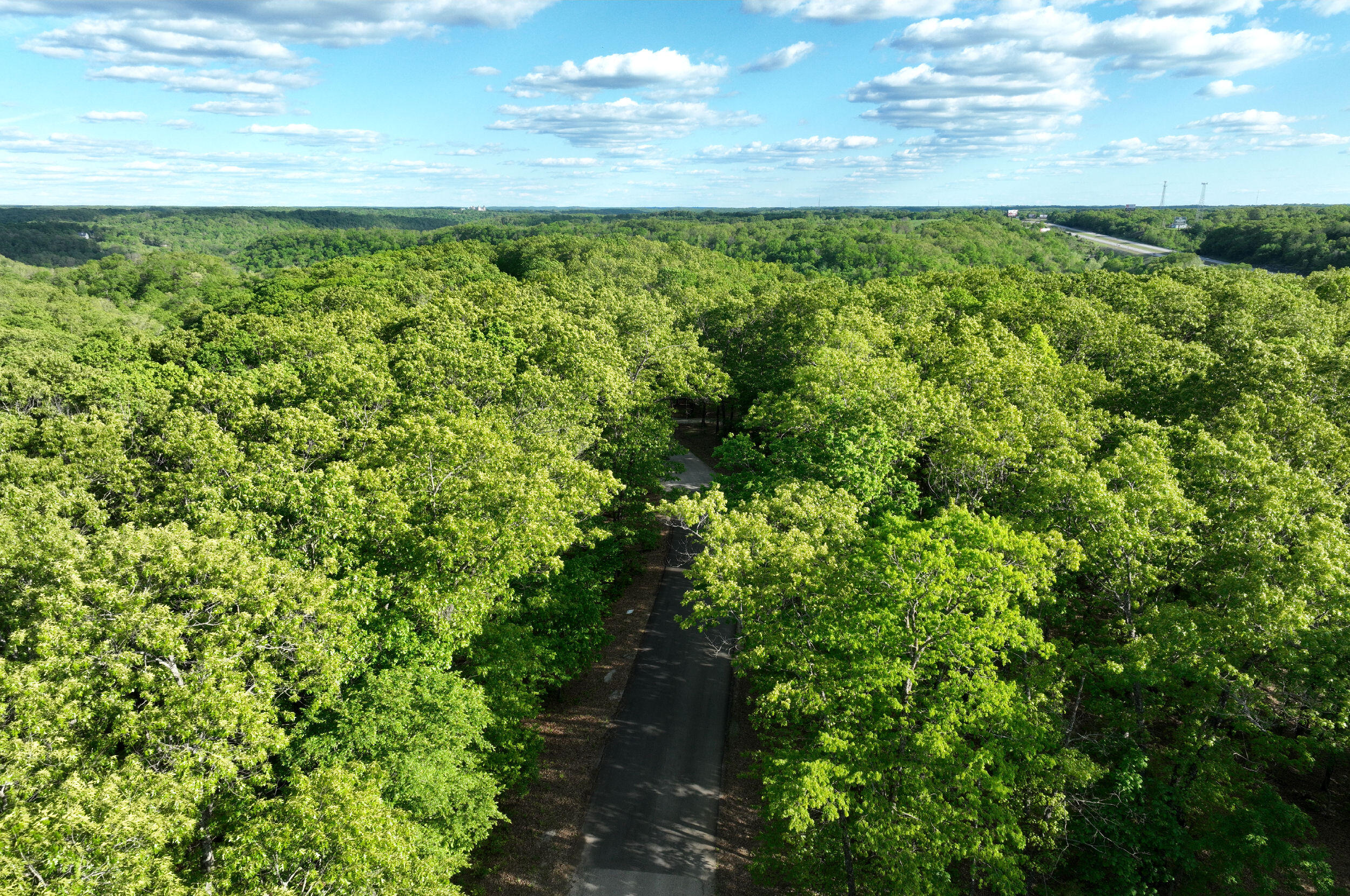 Lot 8 Buckskin Ridge Property Photo 12
