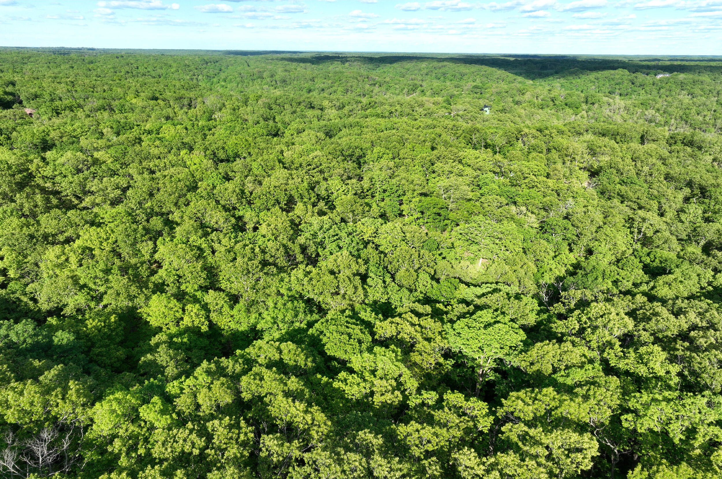 Lot 8 Buckskin Ridge Property Photo 13
