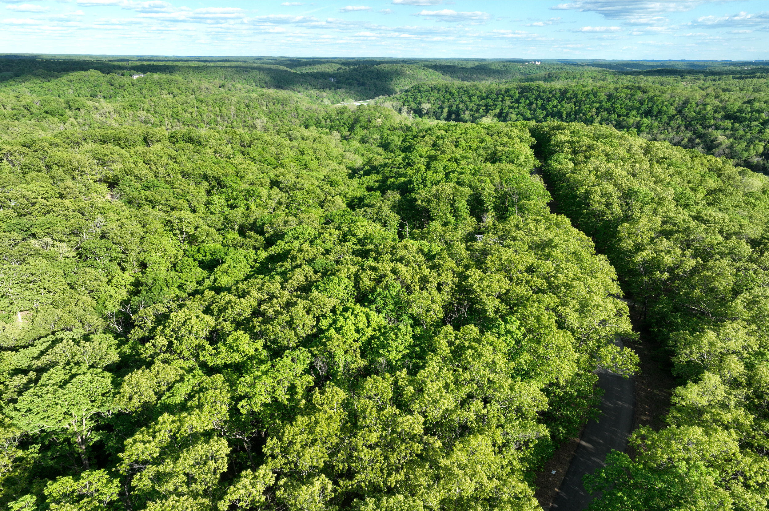 Lot 8 Buckskin Ridge Property Photo 14