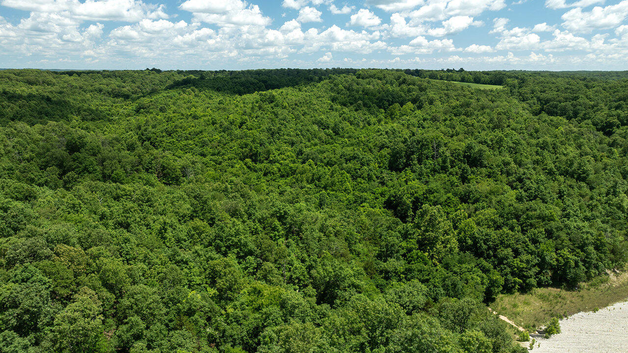 71.9 Acres Sugar Valley Circle Property Photo 11