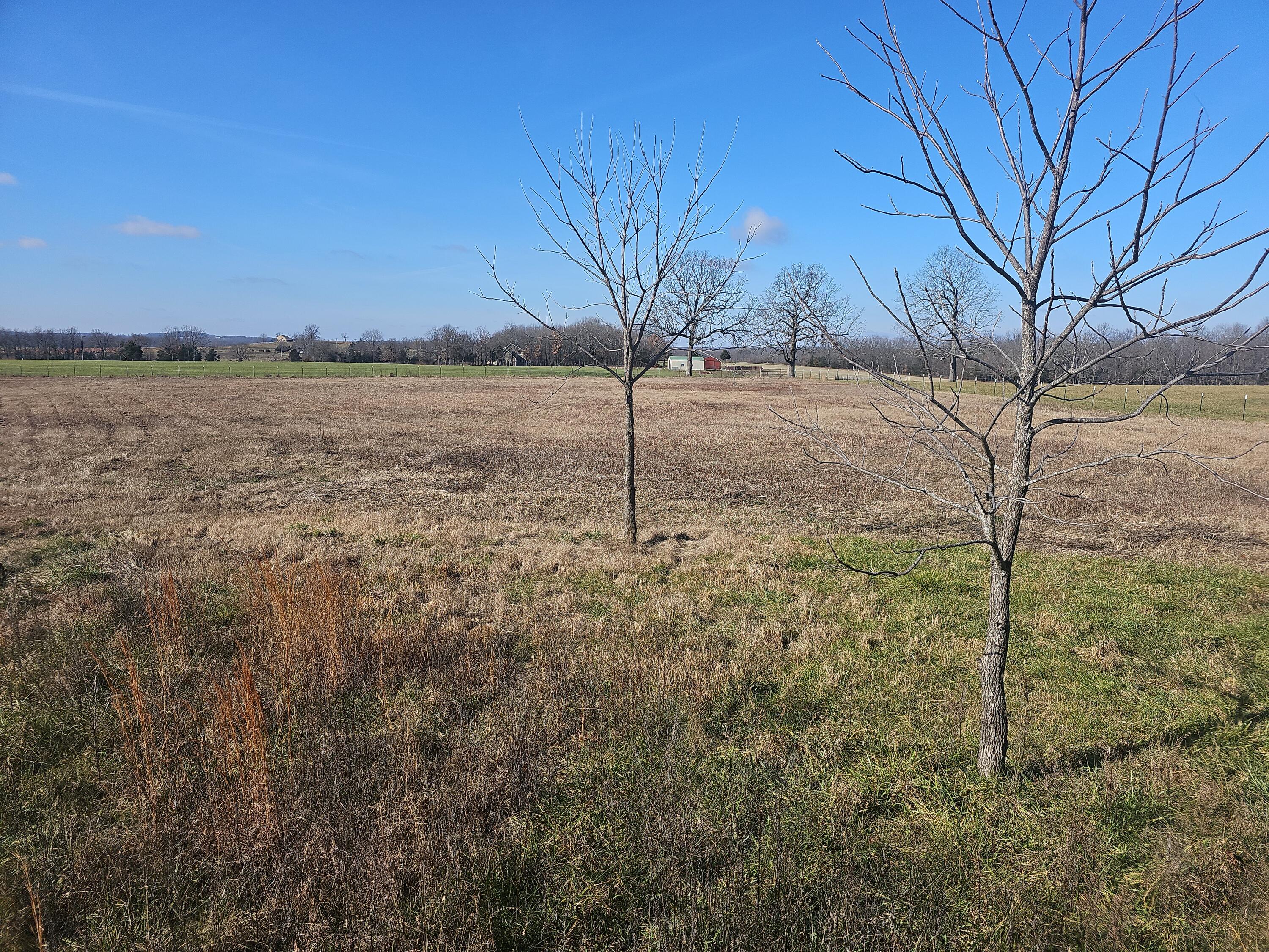 3323 State Route 142 Property Photo 10