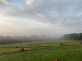 1243 County Road 2410 Property Photo 32