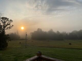 1243 County Road 2410 Property Photo 34