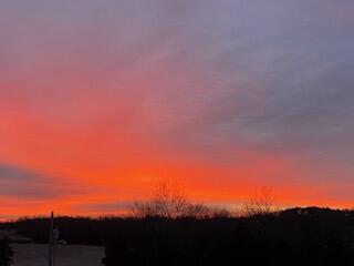 1243 County Road 2410 Property Photo 35