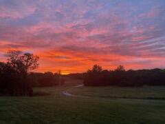 1243 County Road 2410 Property Photo 36