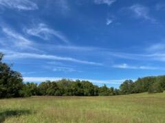 1243 County Road 2410 Property Photo 37