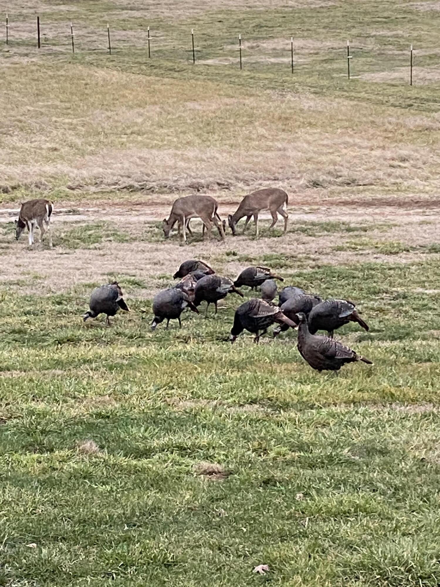 1243 County Road 2410 Property Photo 40