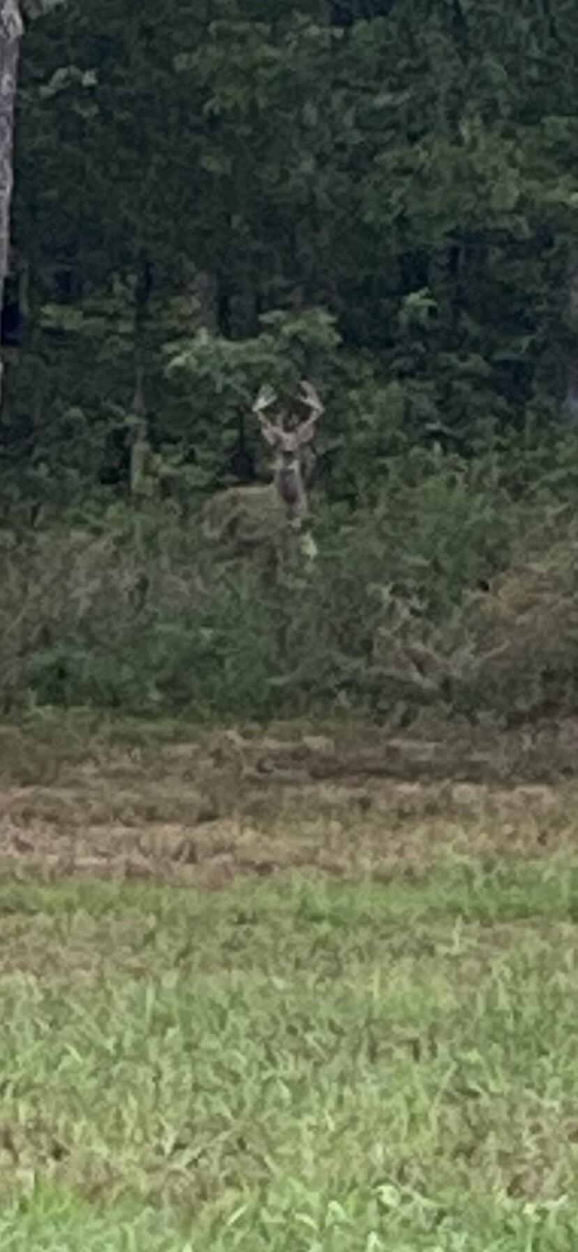 1243 County Road 2410 Property Photo 42