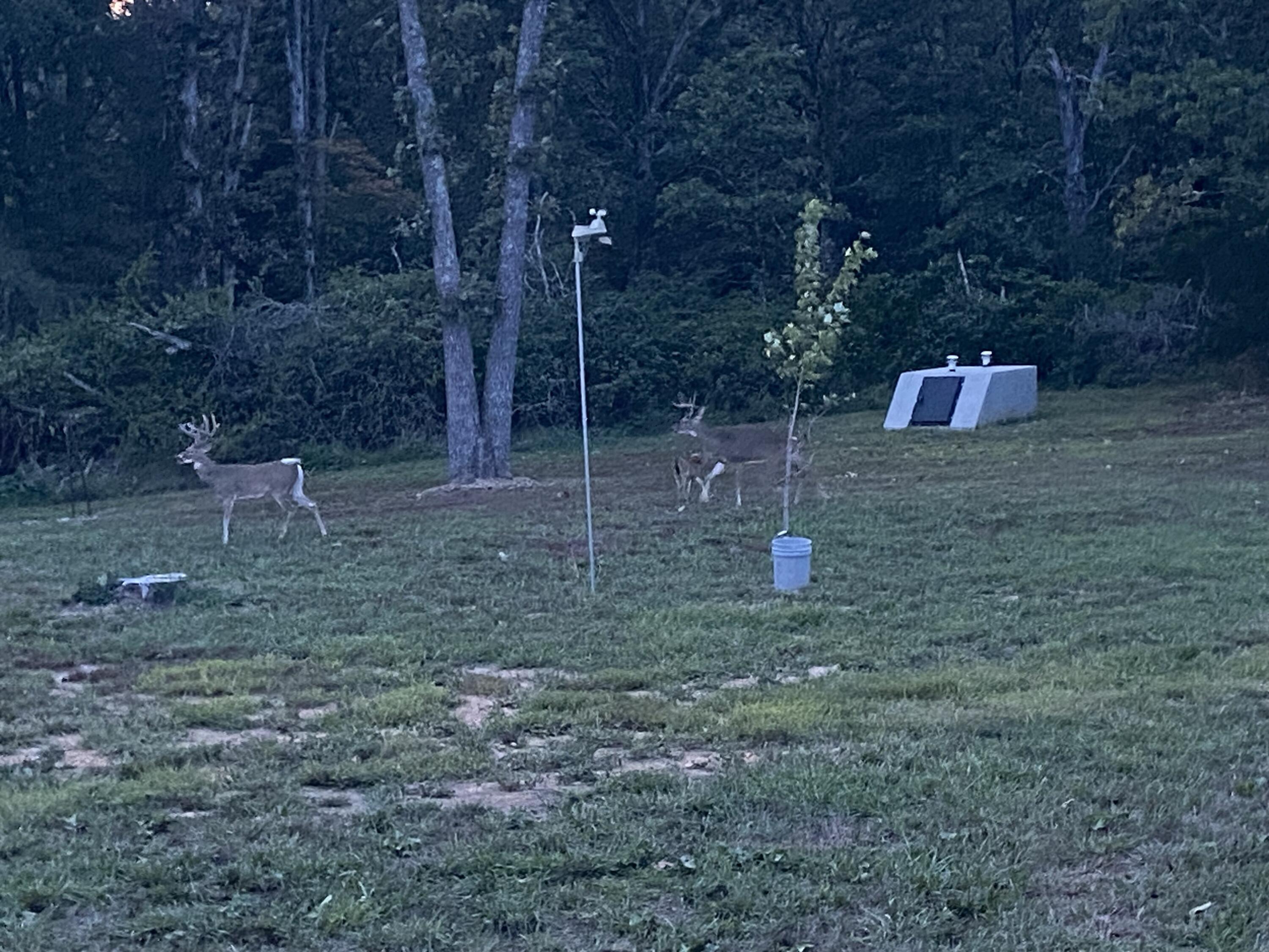 1243 County Road 2410 Property Photo 44