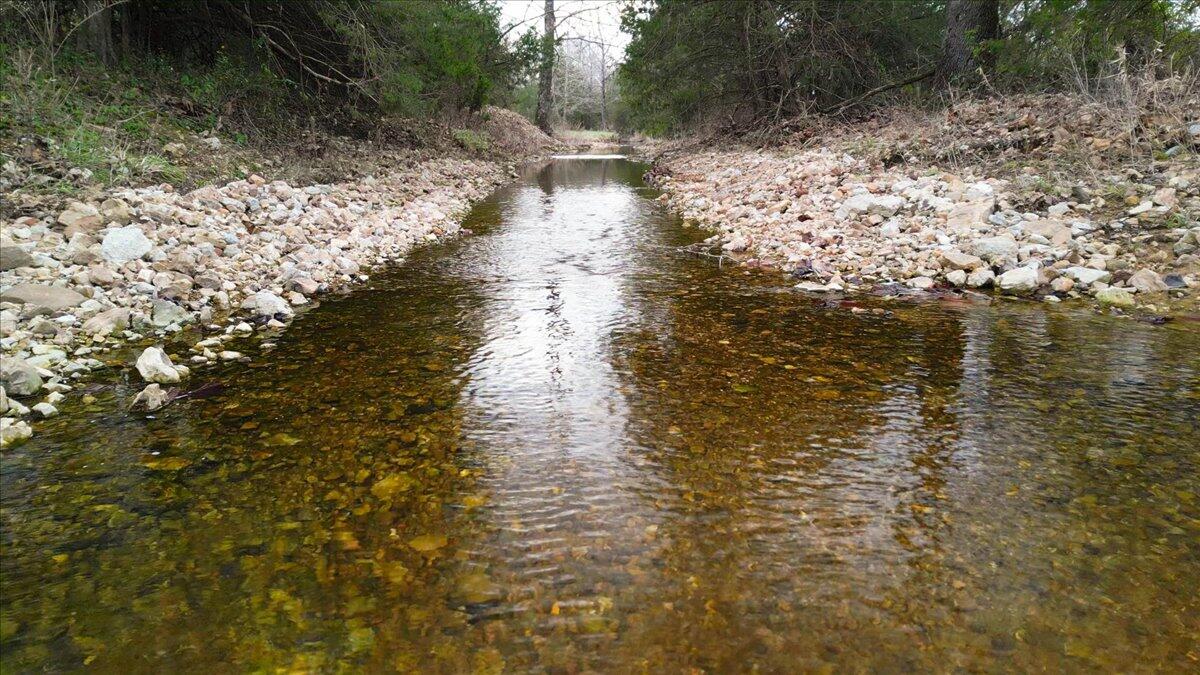 1243 County Road 2410 Property Photo 51