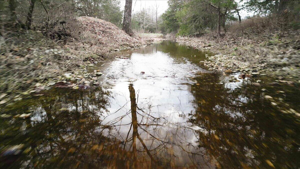 1243 County Road 2410 Property Photo 56