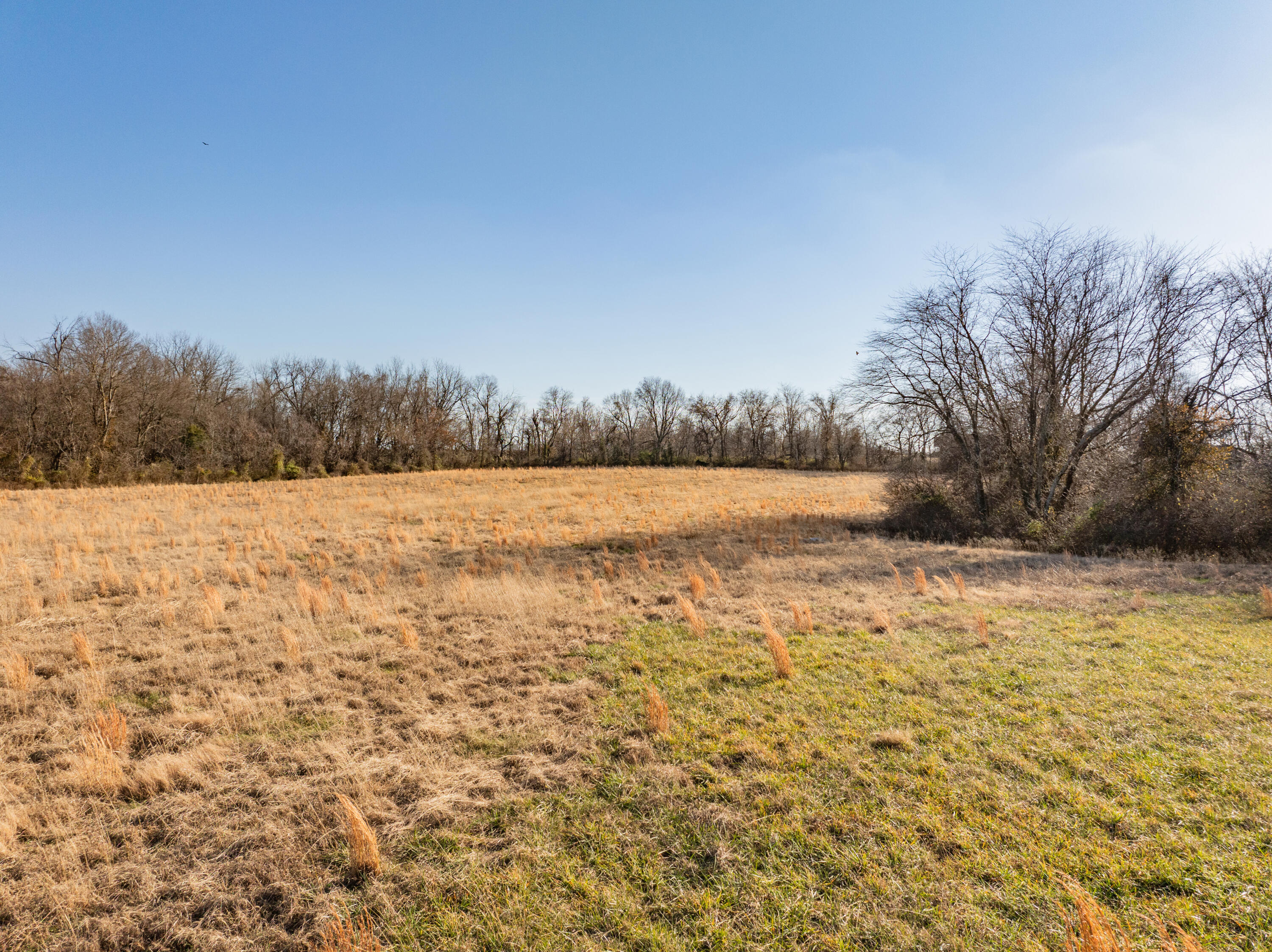 000 West Farm Road 148 Property Photo 15