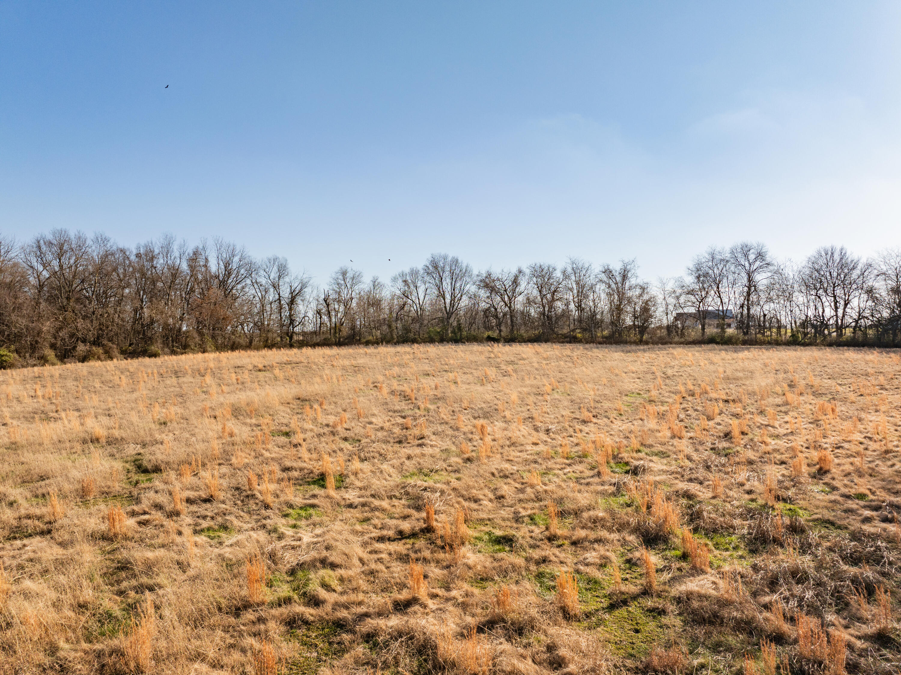 000 West Farm Road 148 Property Photo 16
