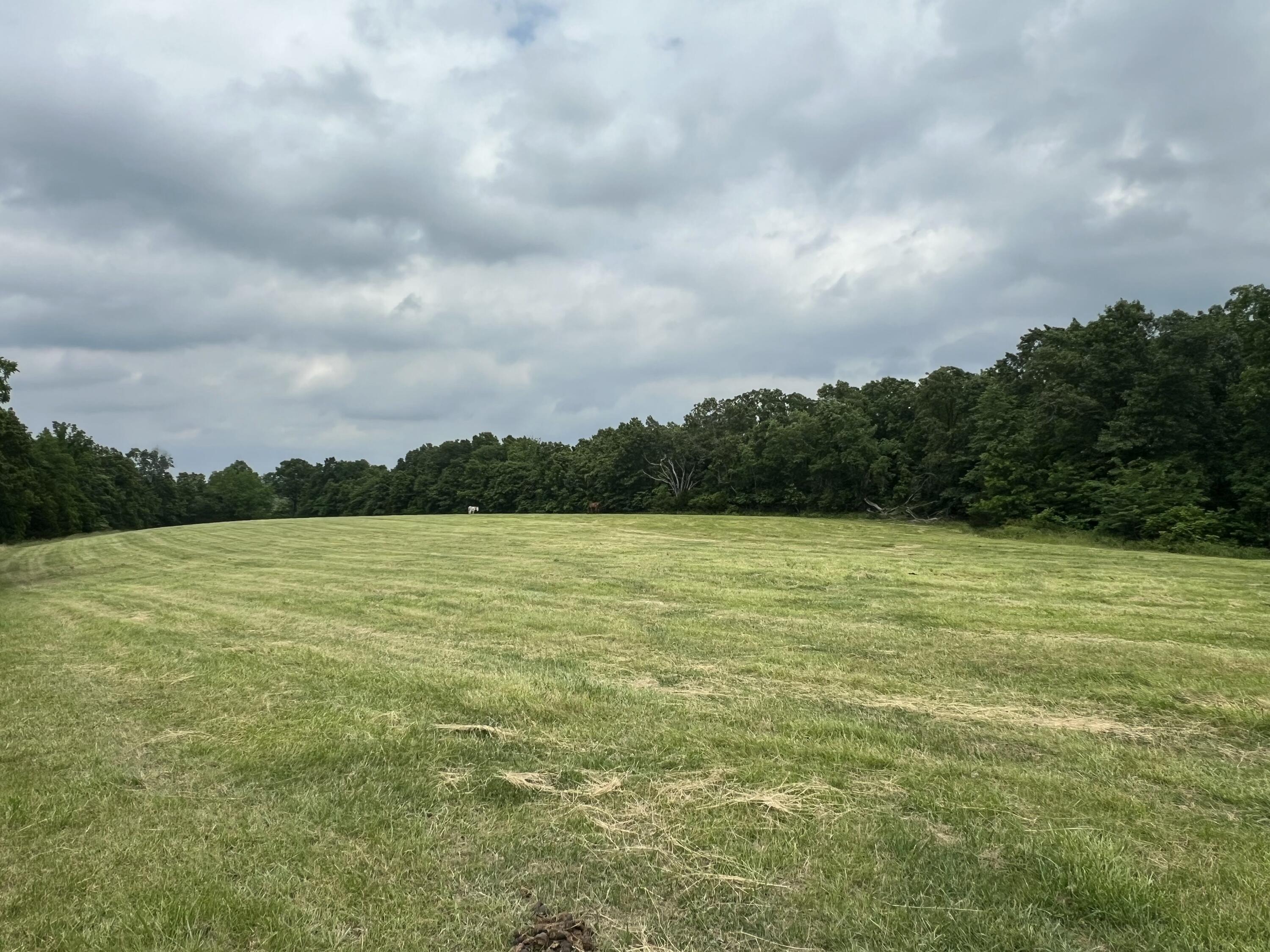 84 Buttercup Property Photo 3